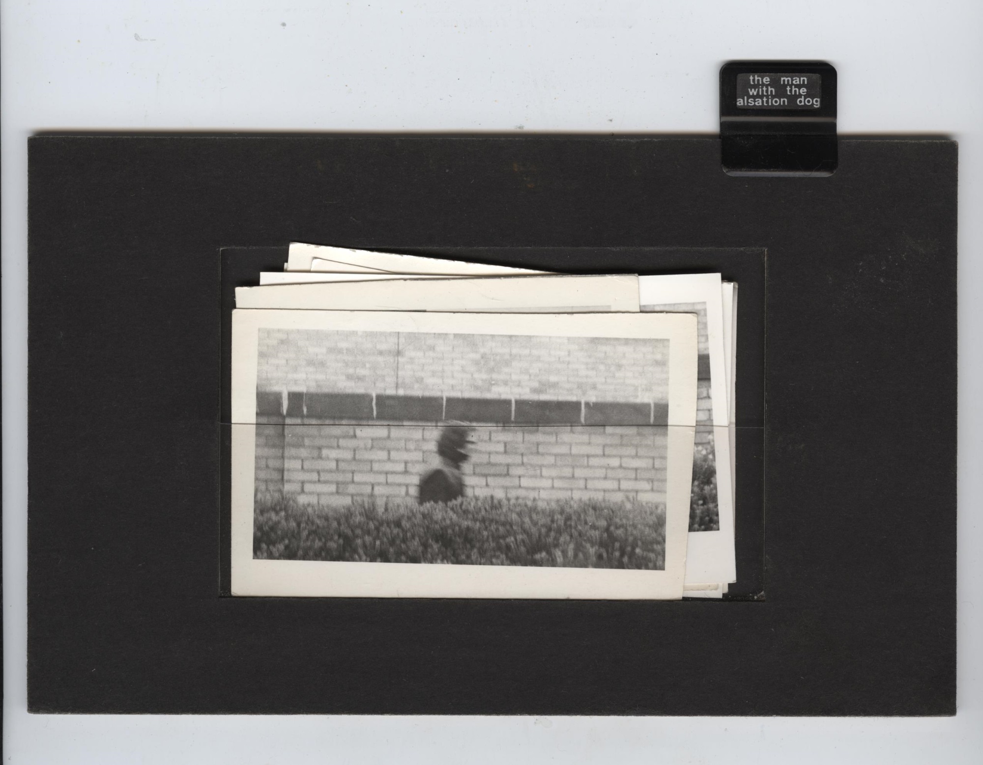 A Search . . . index card