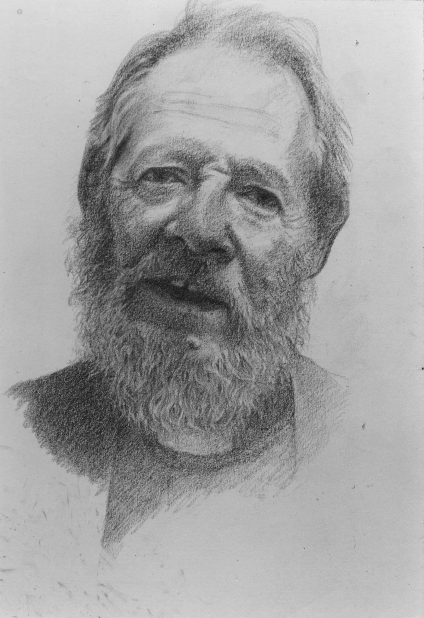 Arthur - study for Eden