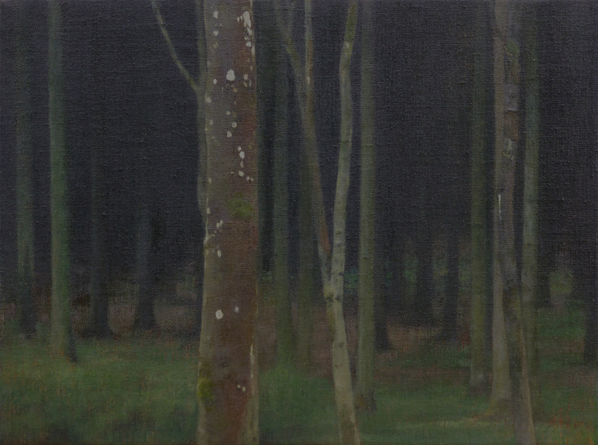 At the Edge of a Forest (i)