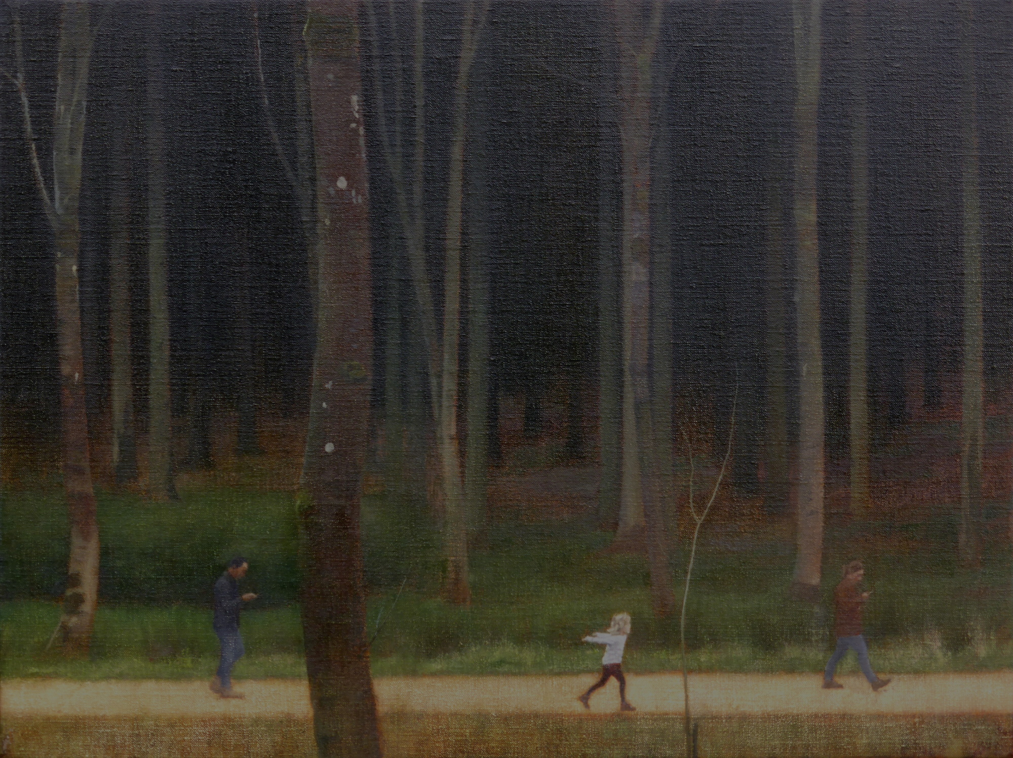 At the Edge of a Forest (ii)