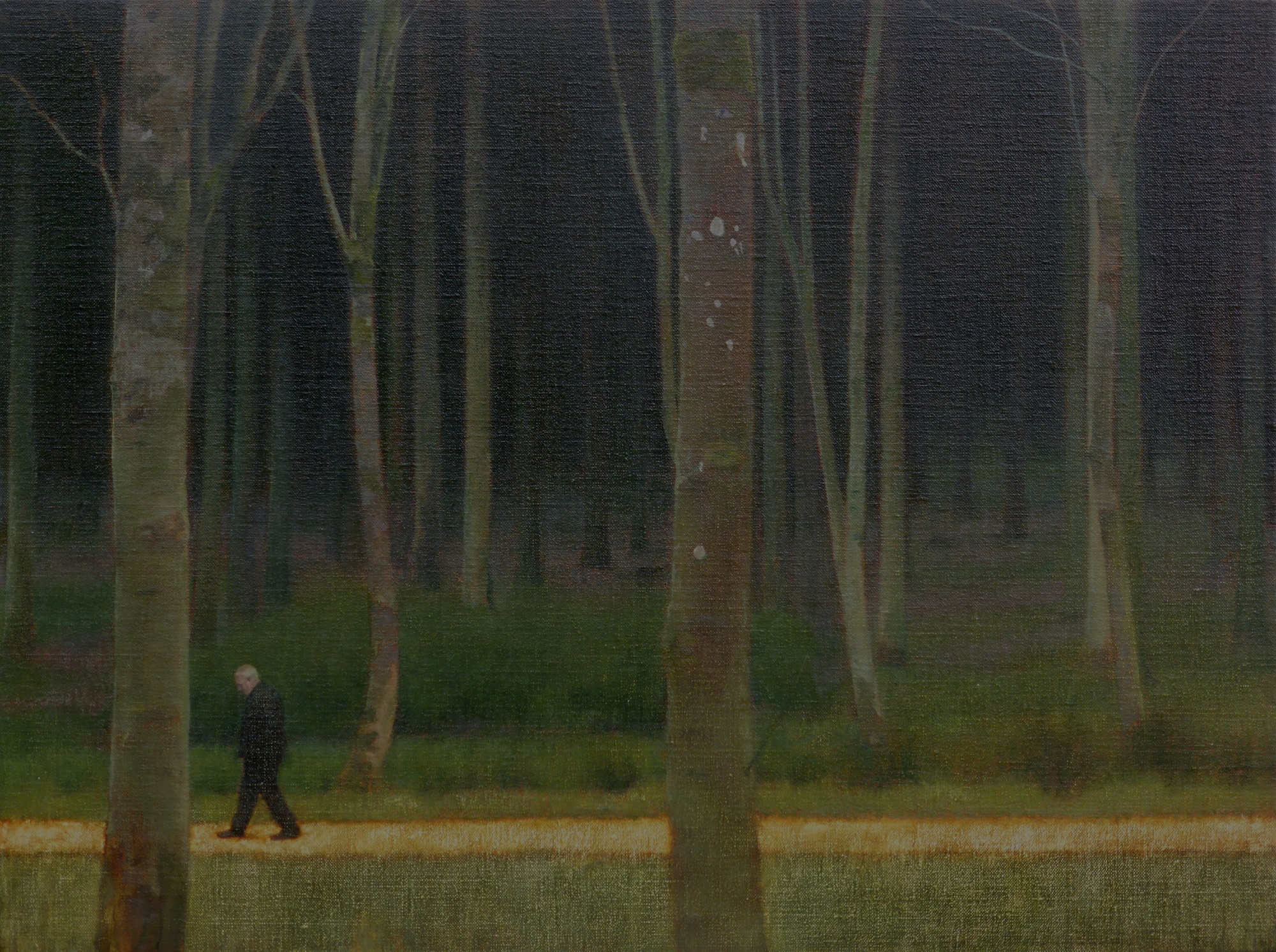 At the Edge of a Forest (iii)