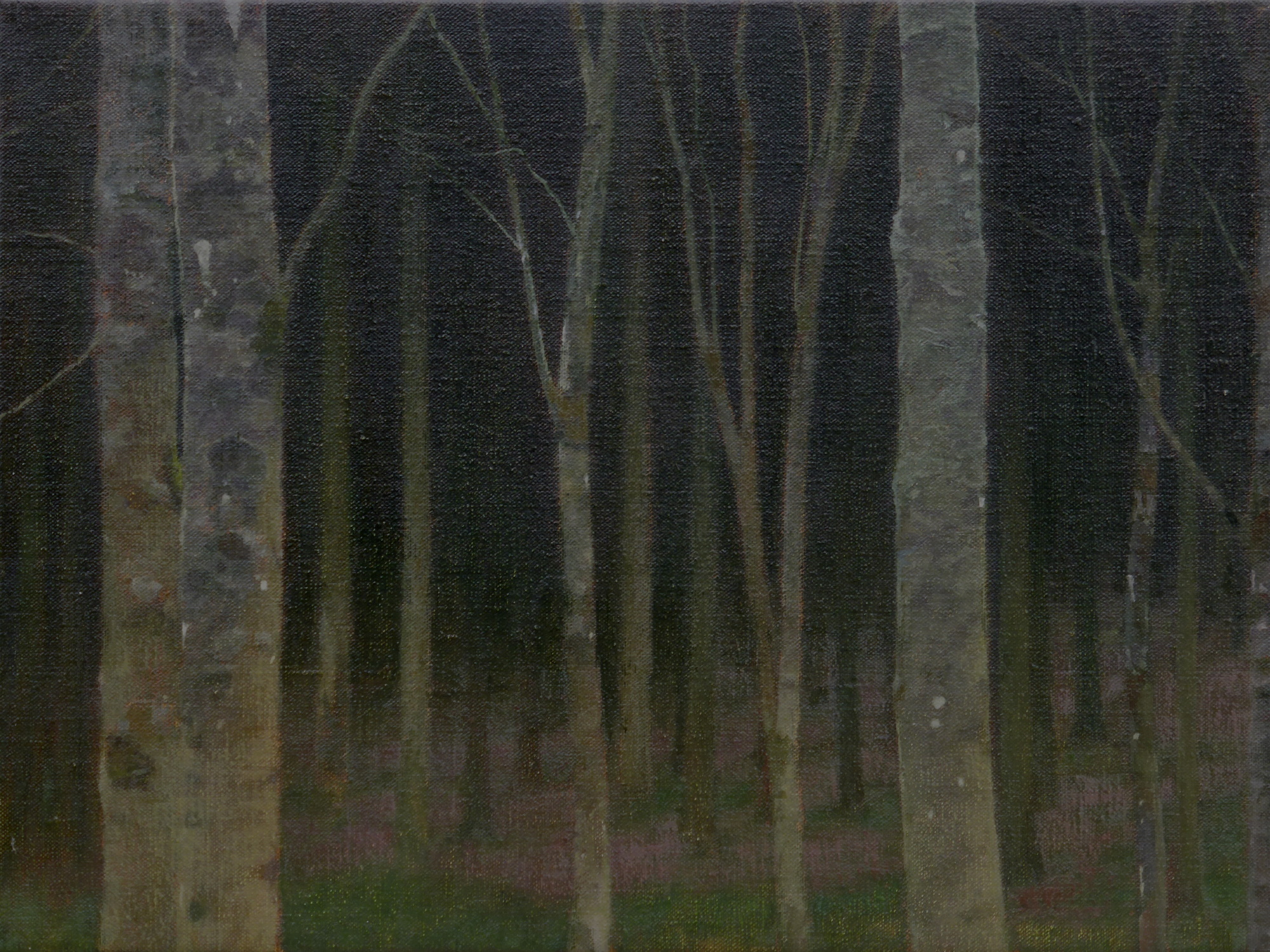 At the Edge of a Forest (iv)