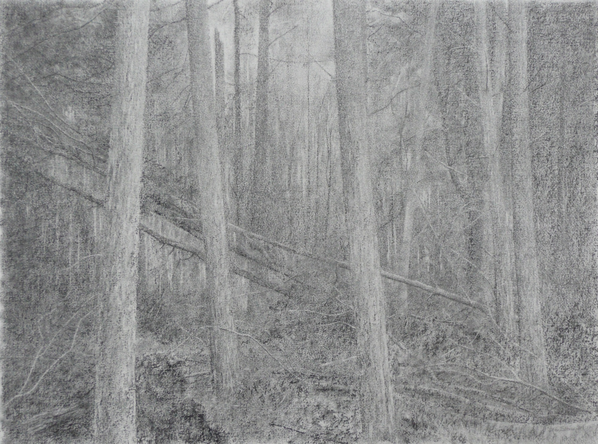Clearing (ii) study (vii)