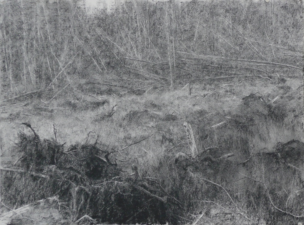 Clearing (ii) study (iv)
