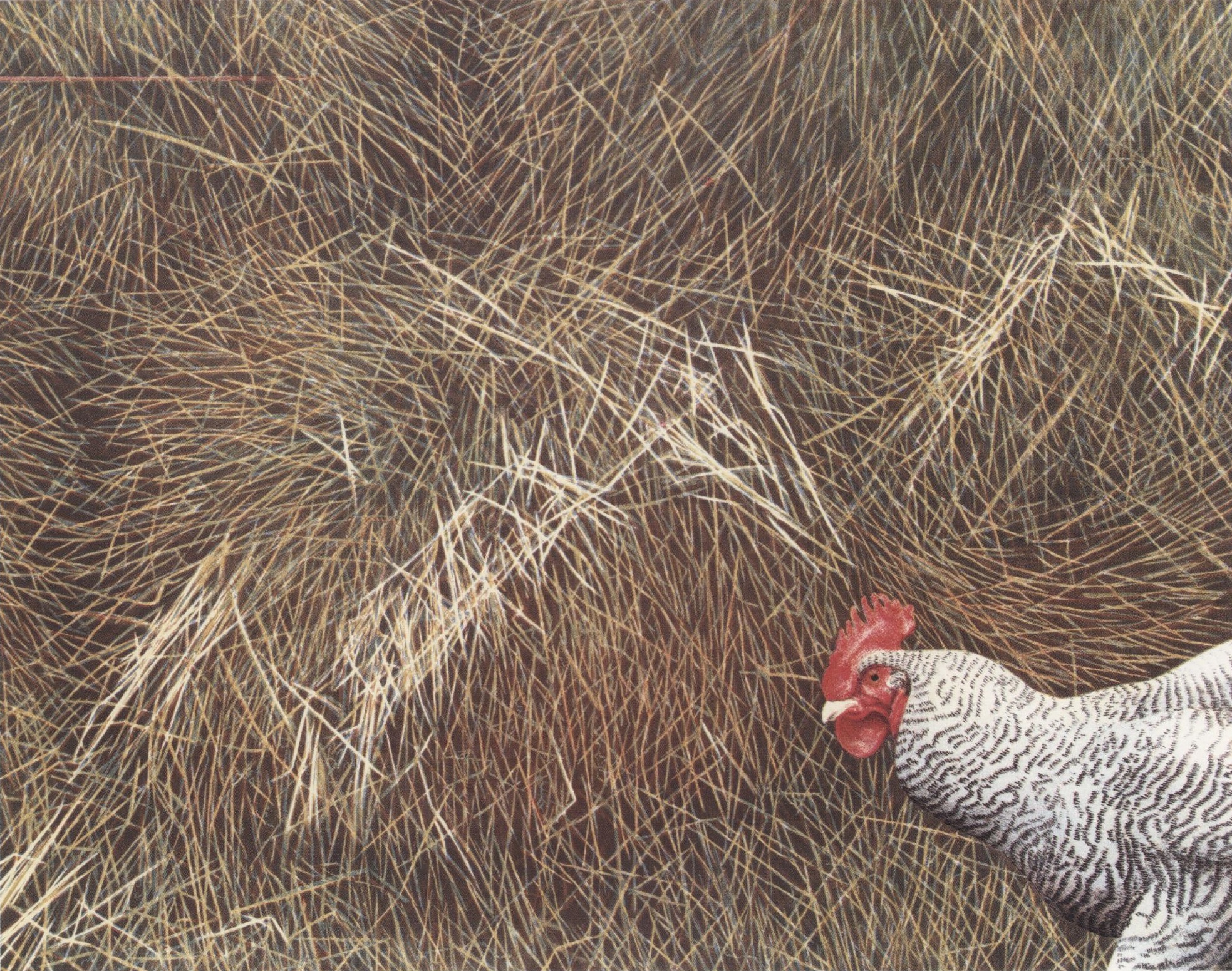 Cock in a Haystack