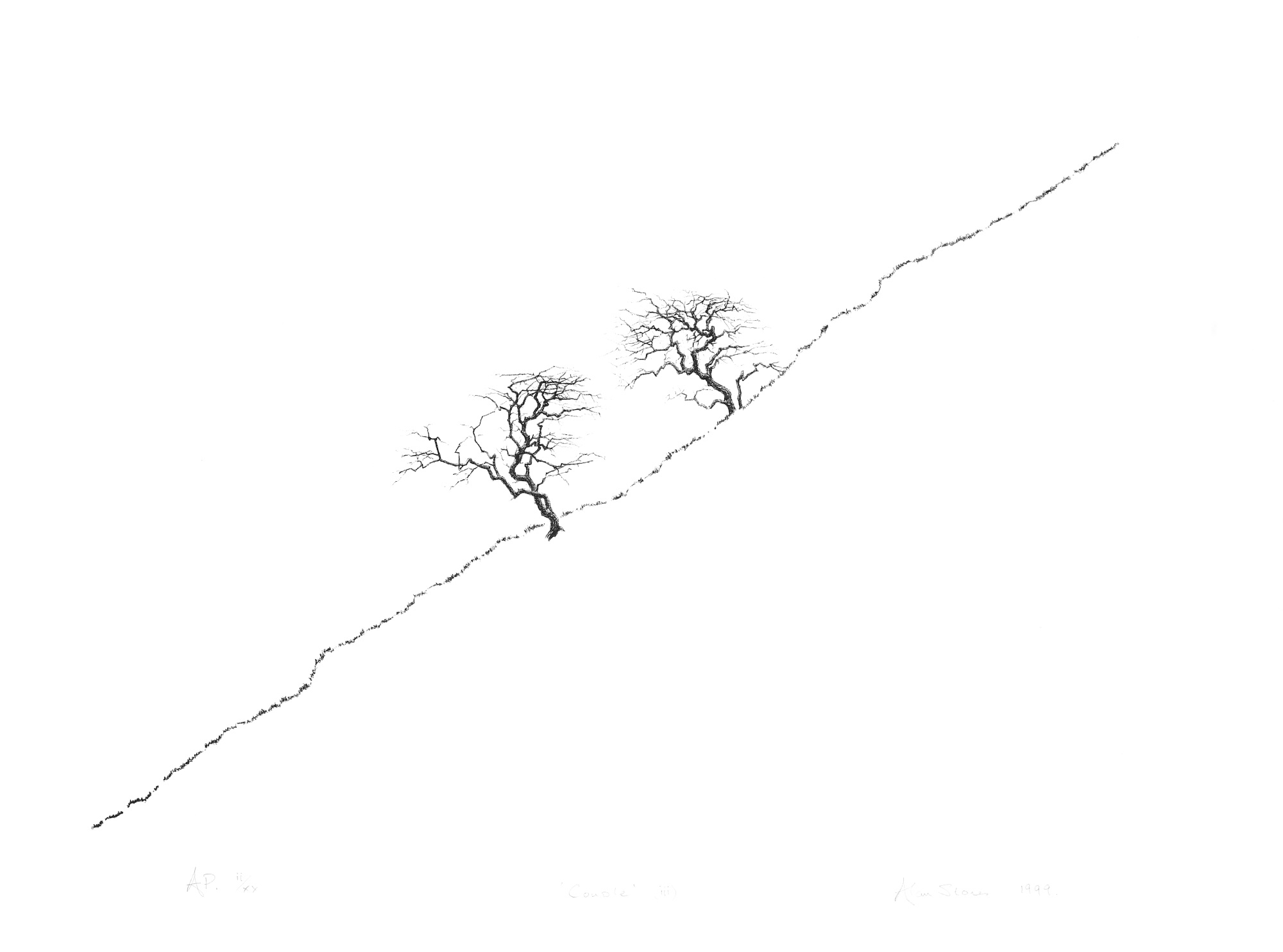 Couple (iii)