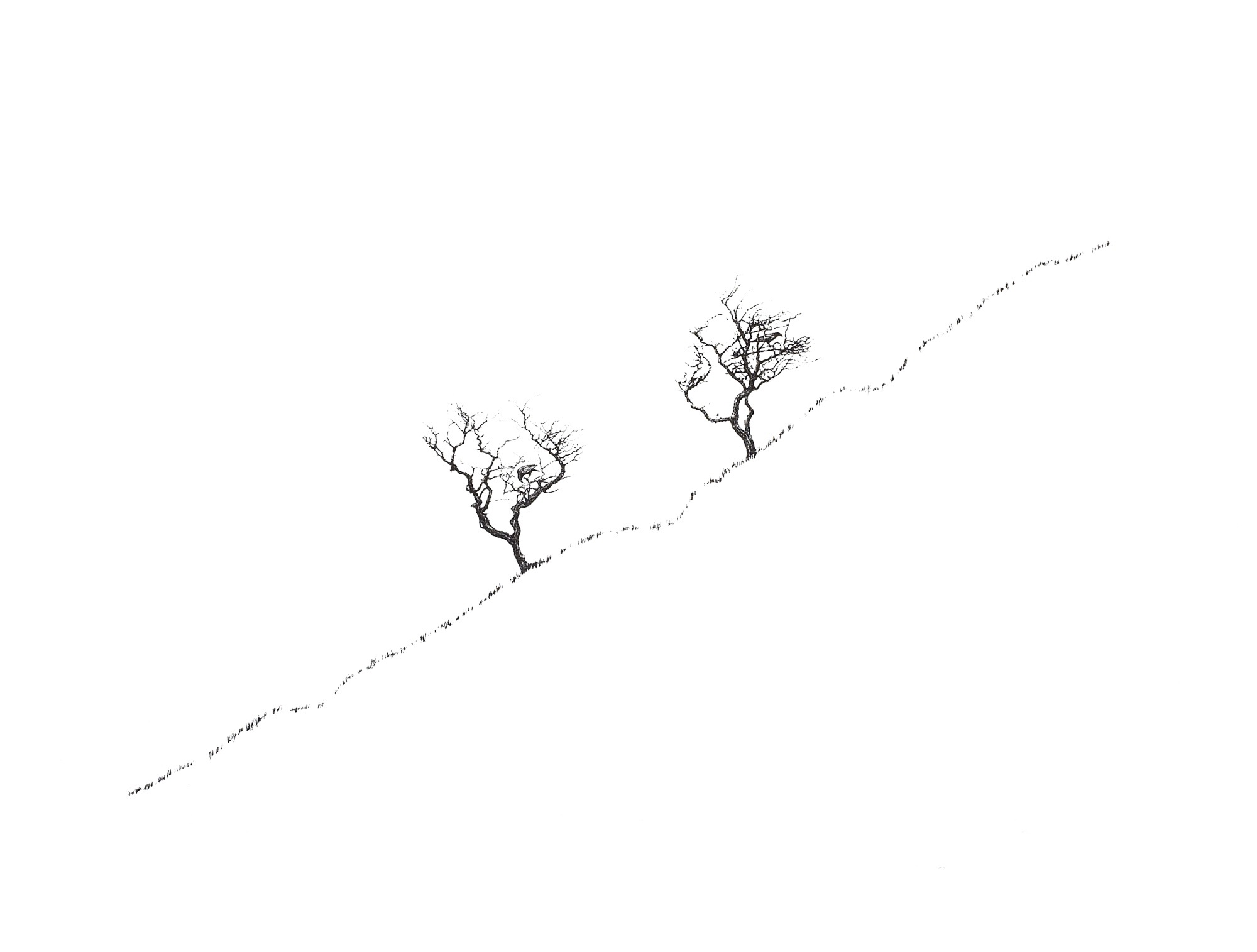 Couple (iv)