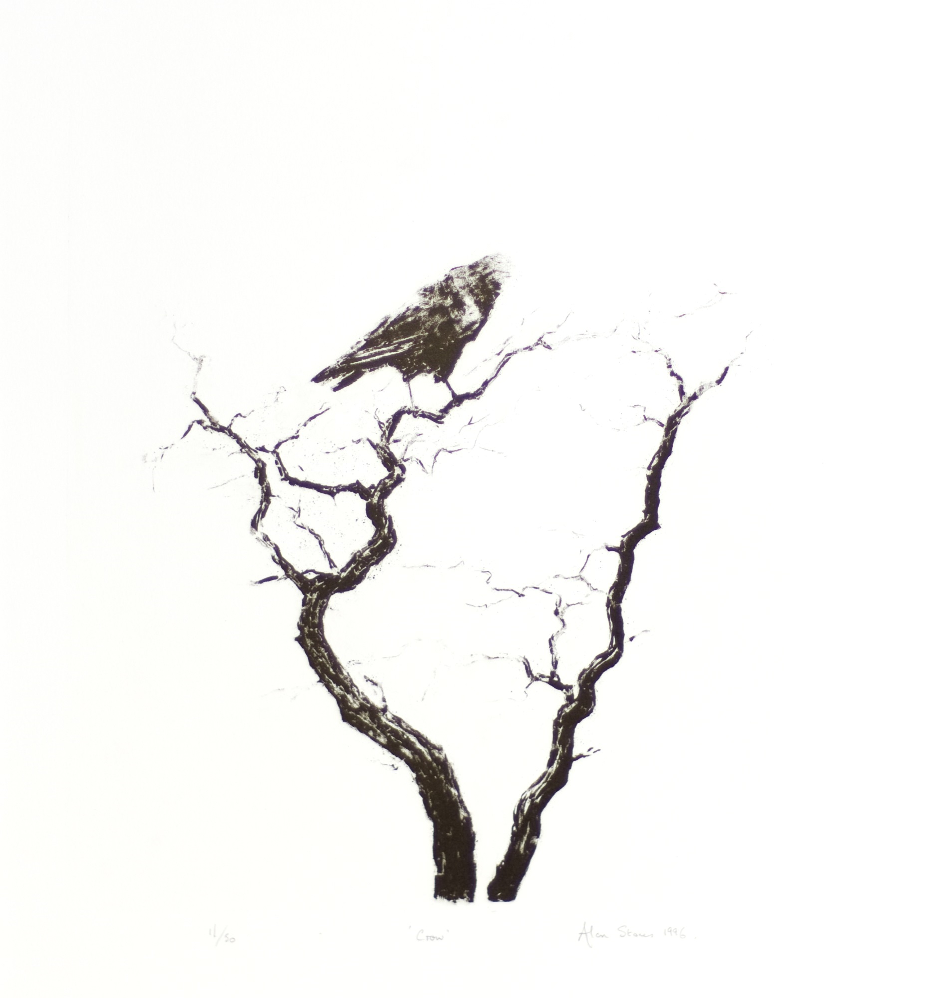 Crow