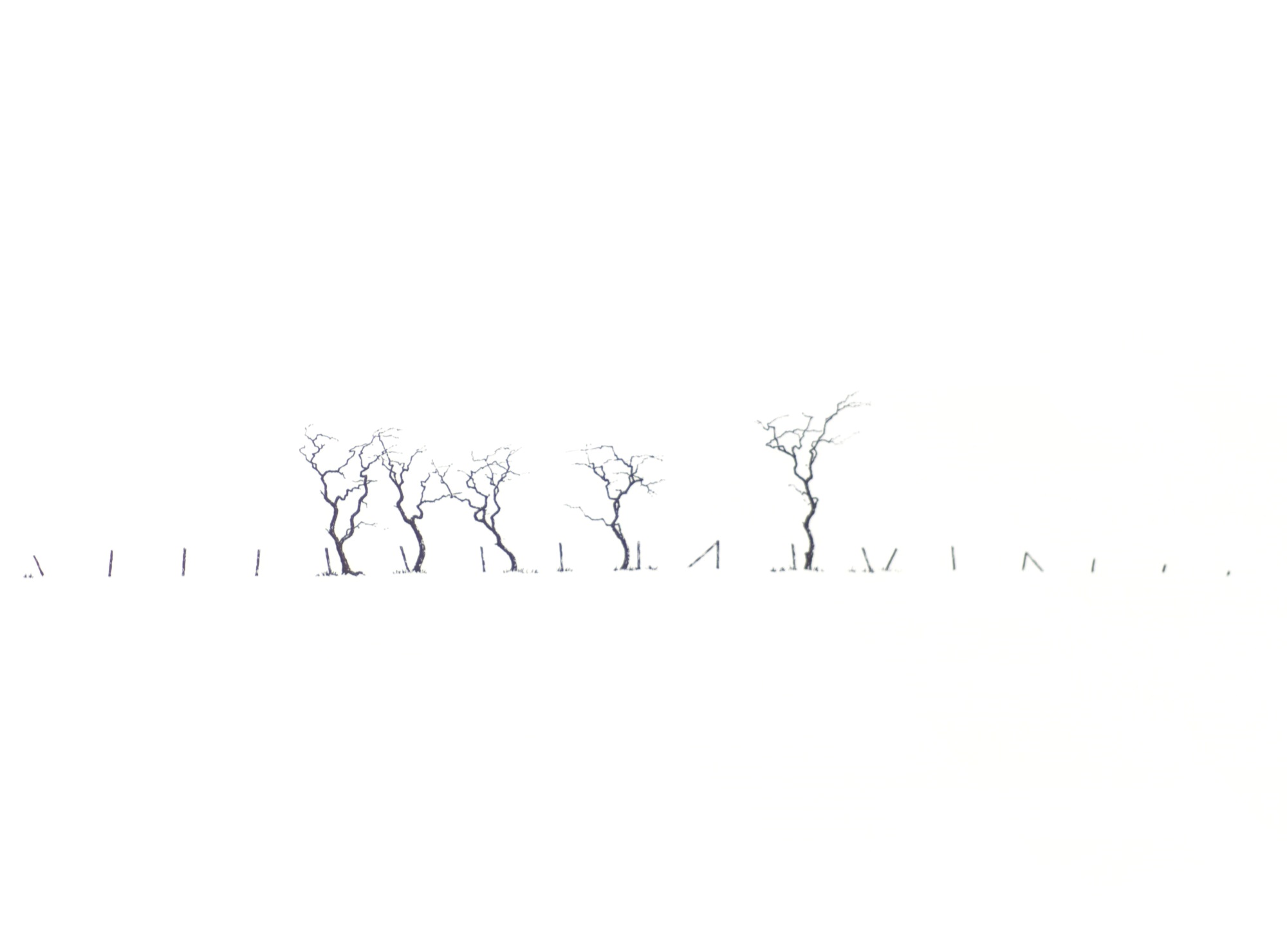 Fence (ii)