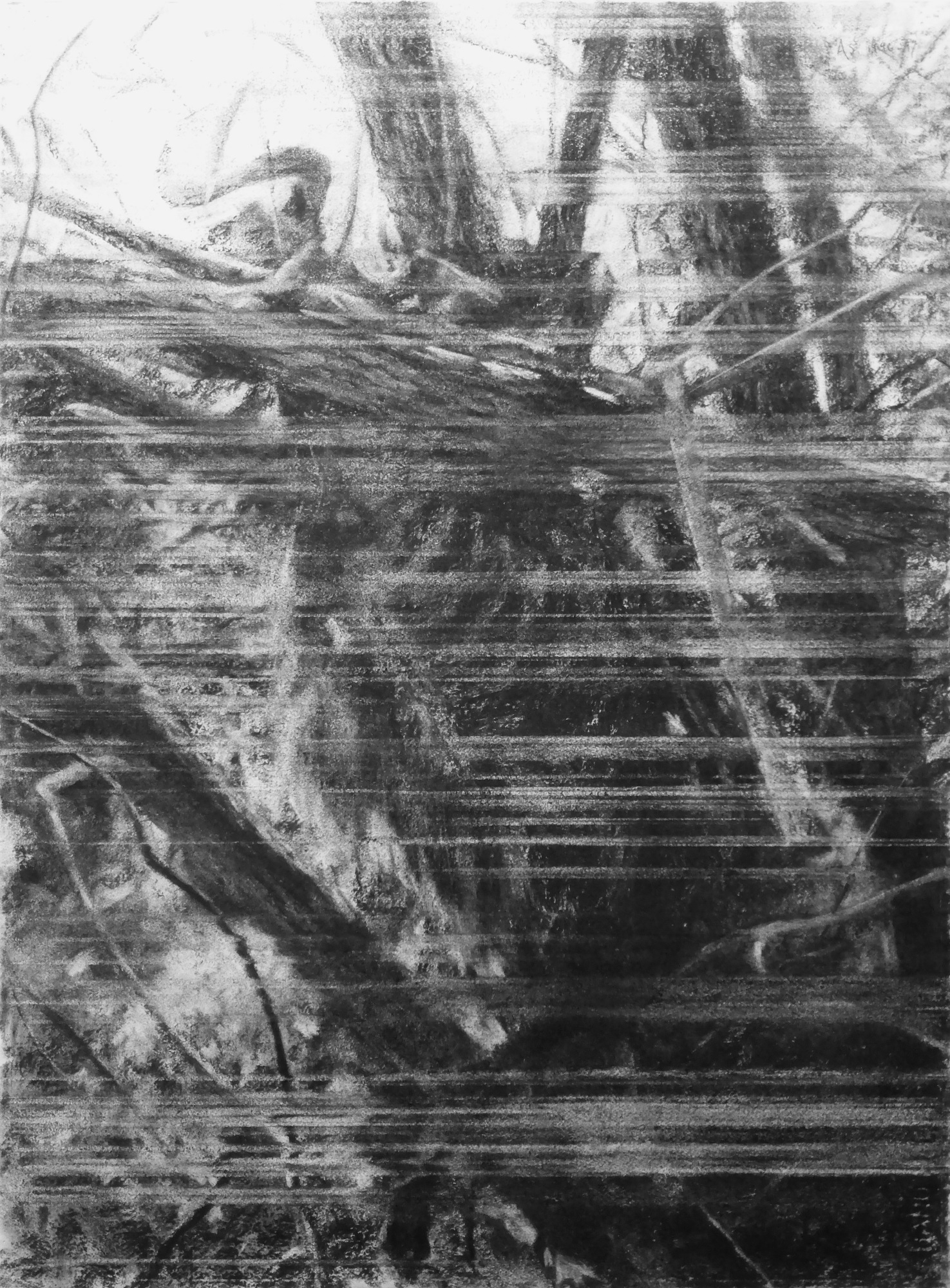Flooded Fields (i)