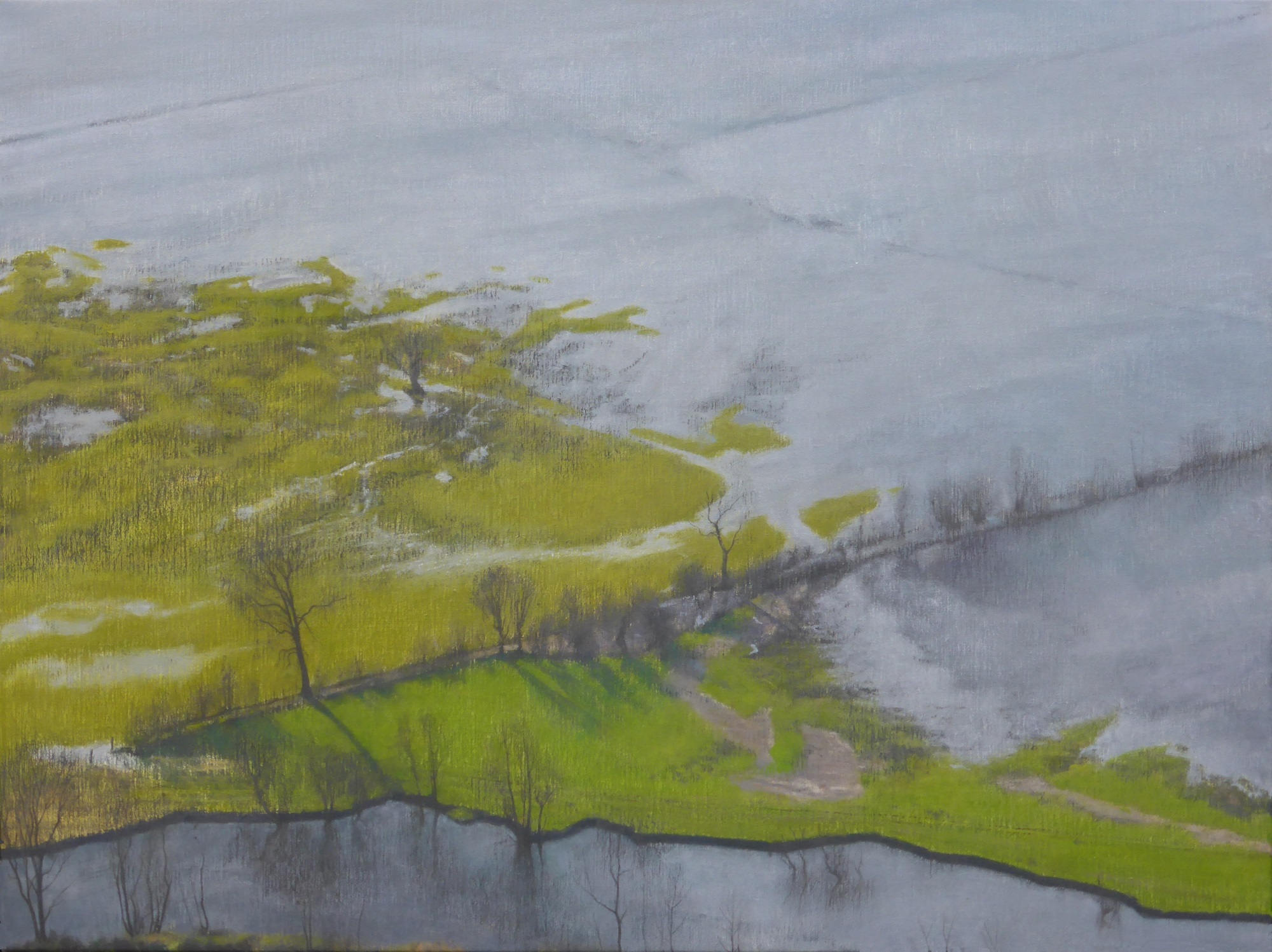 Flooded Fields (v)