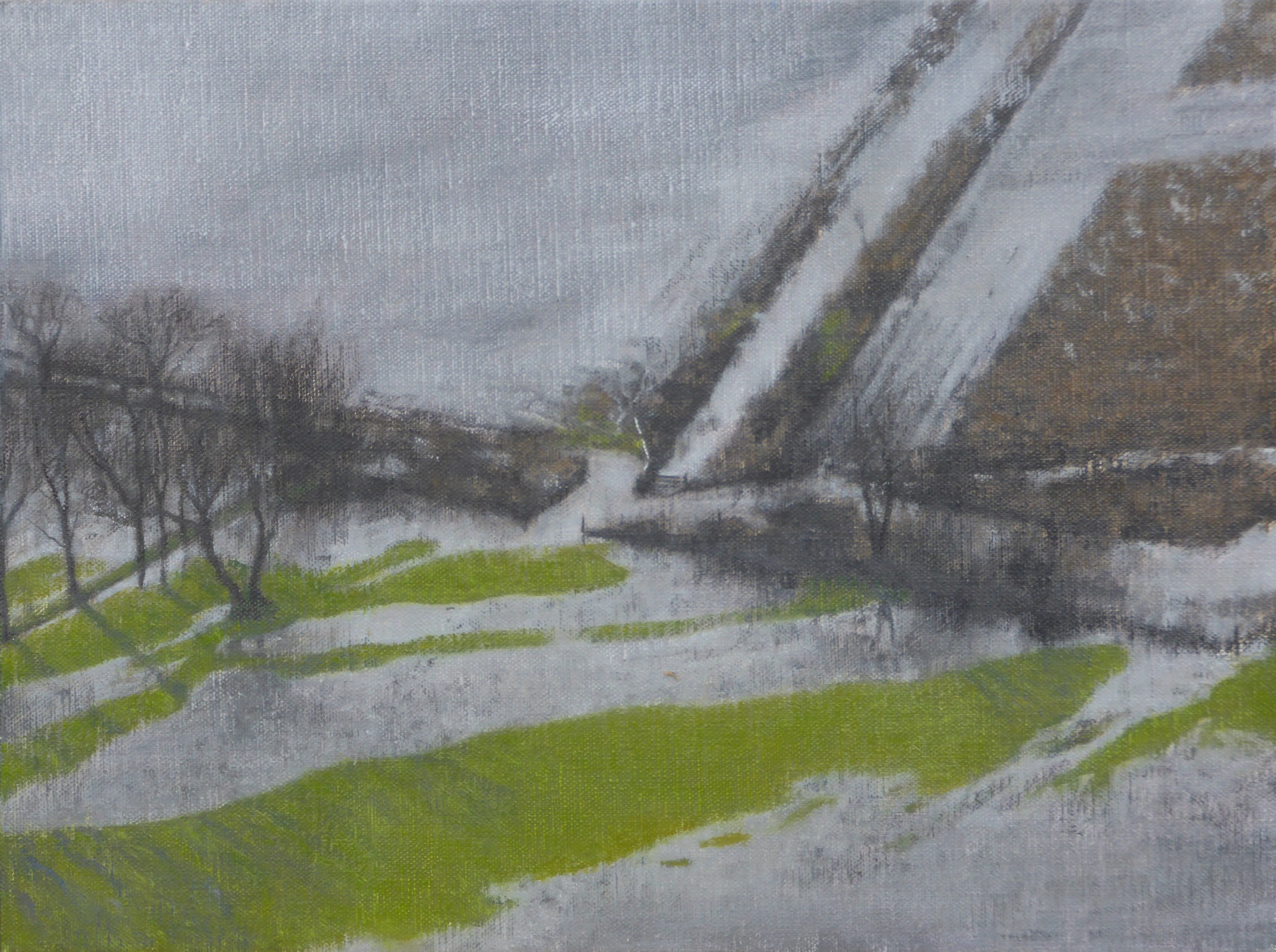 Flooded Fields study (ii)
