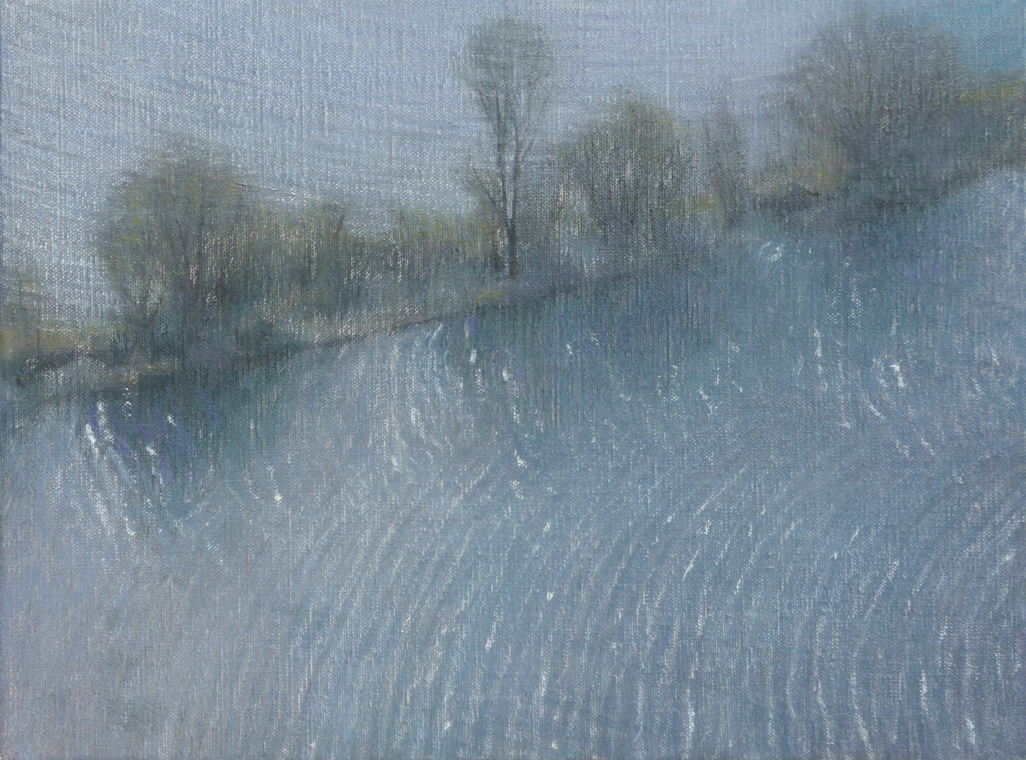 Flooded Fields study (iii)