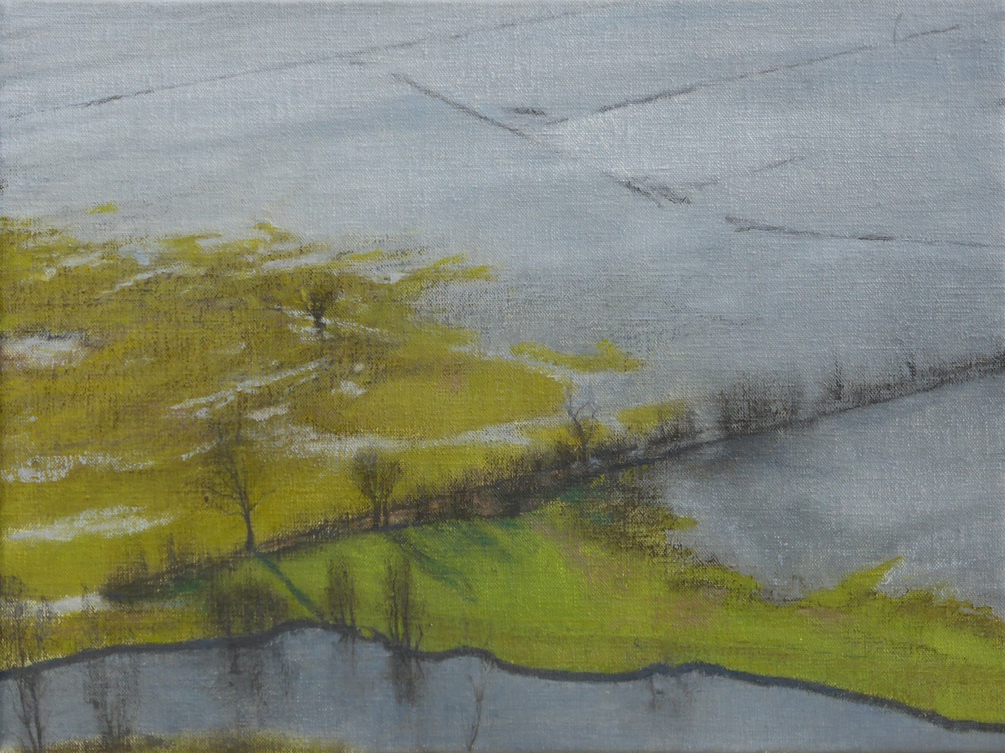 Flooded Fields study (v)