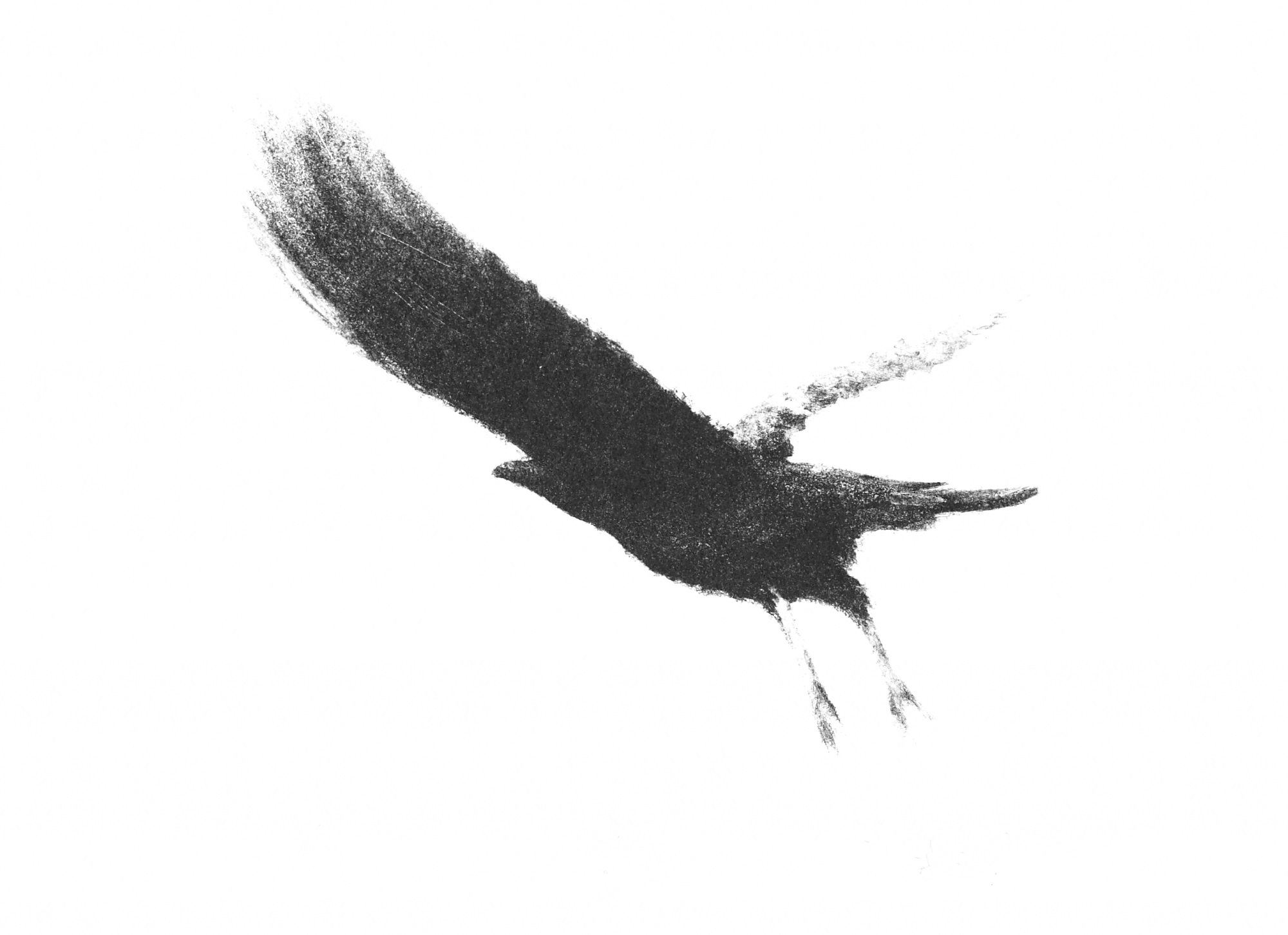 Flying