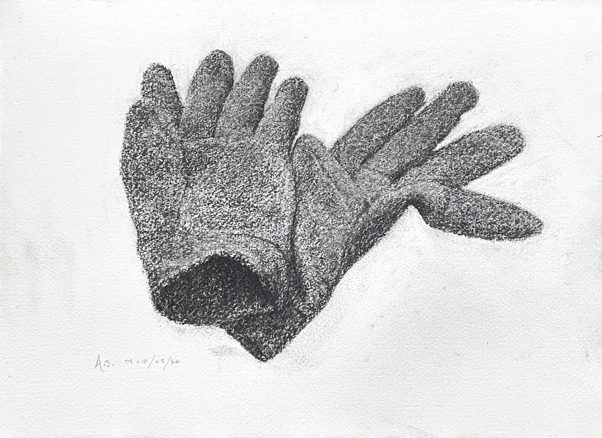 Gloves (10.03.2025)