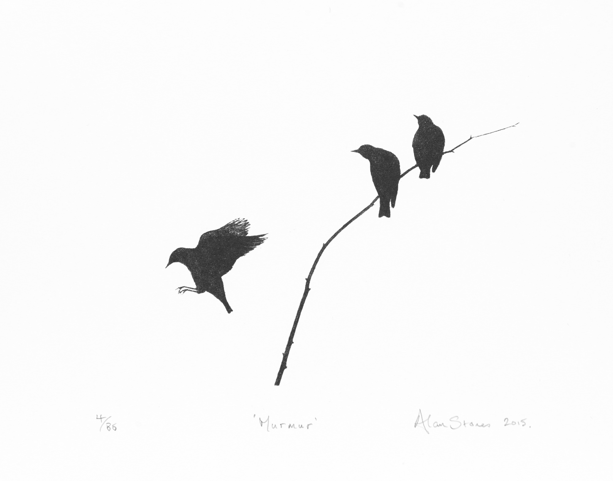Murmur