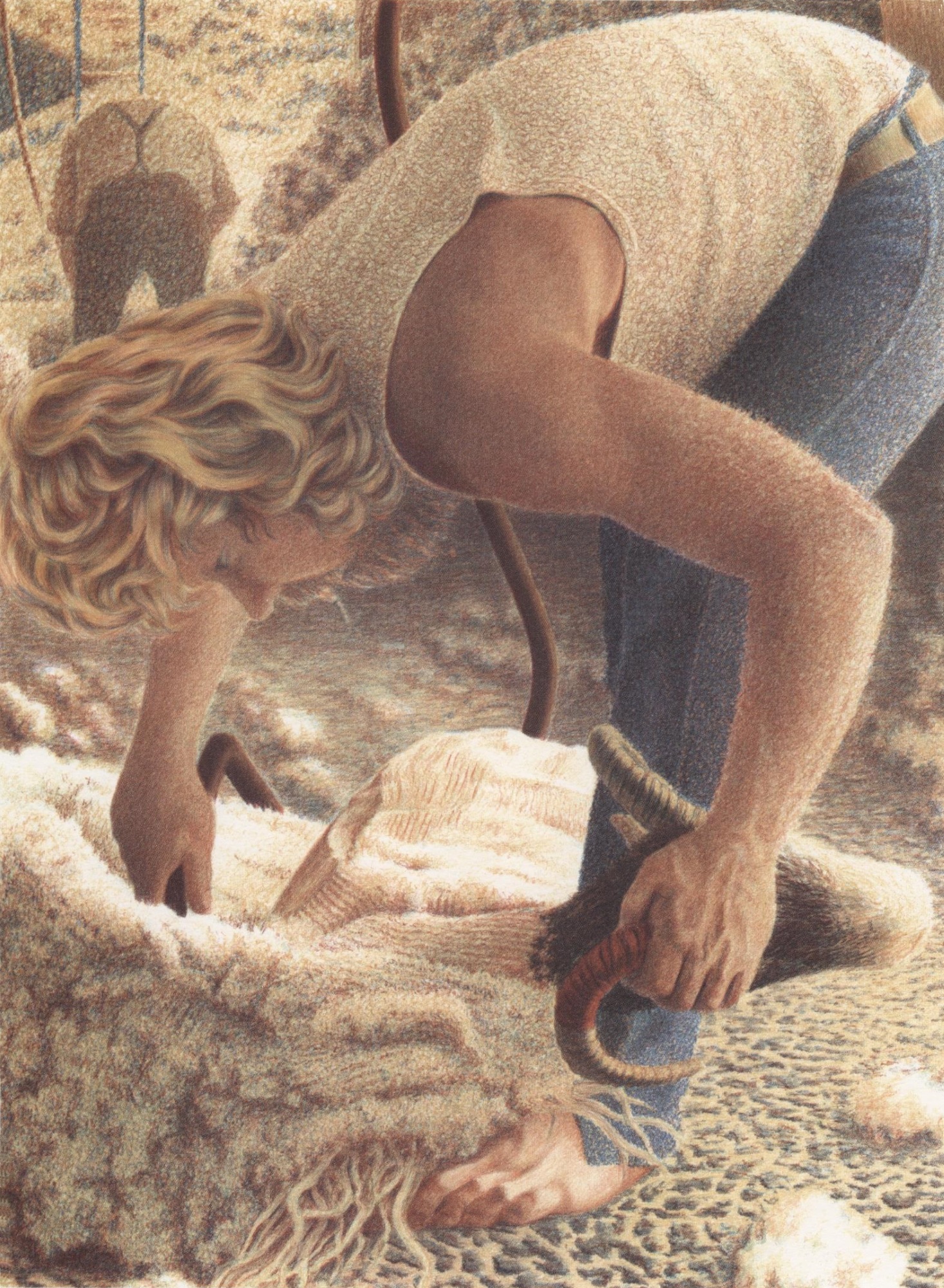 NZ Shearer