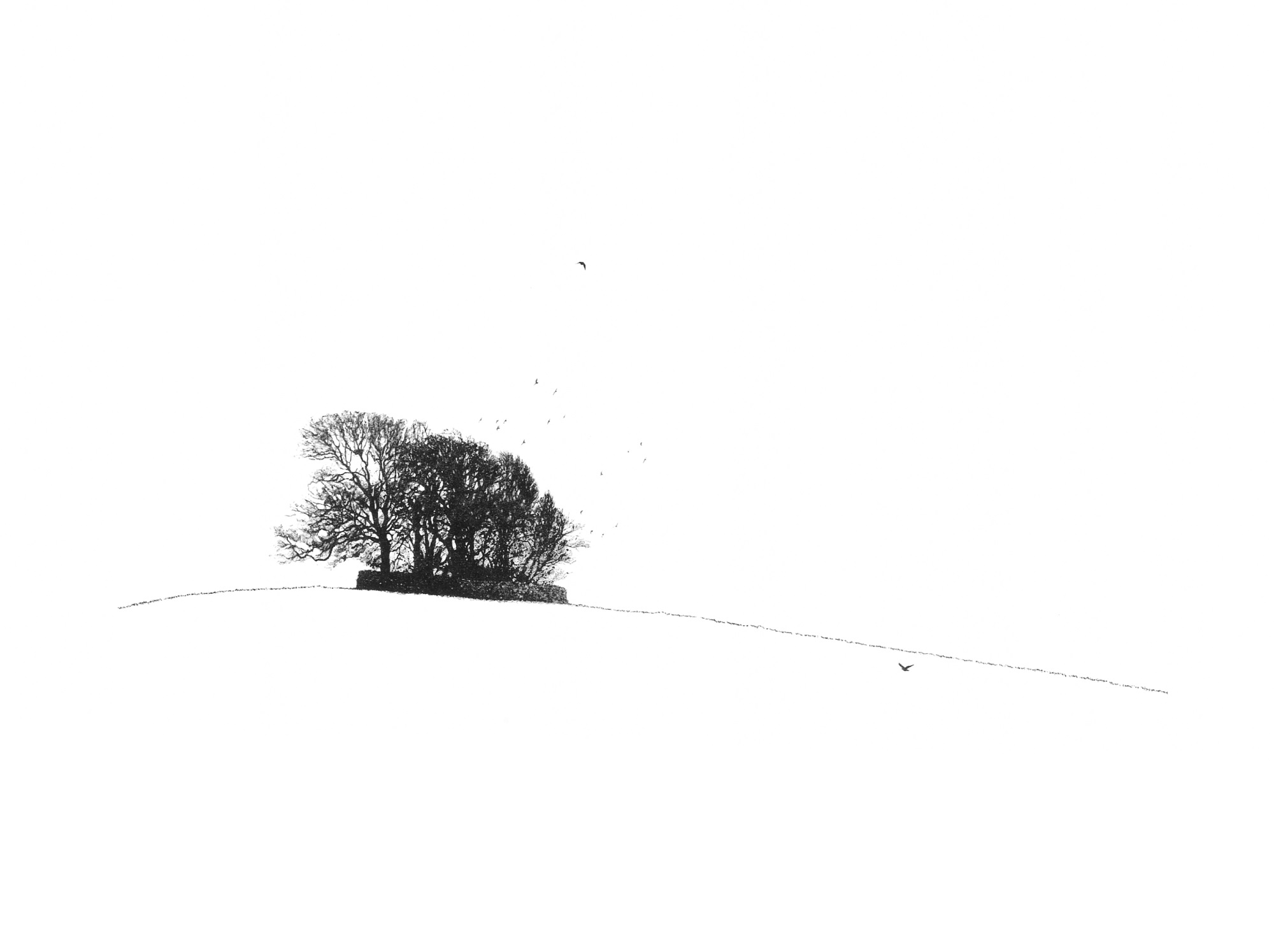 Orton Scar