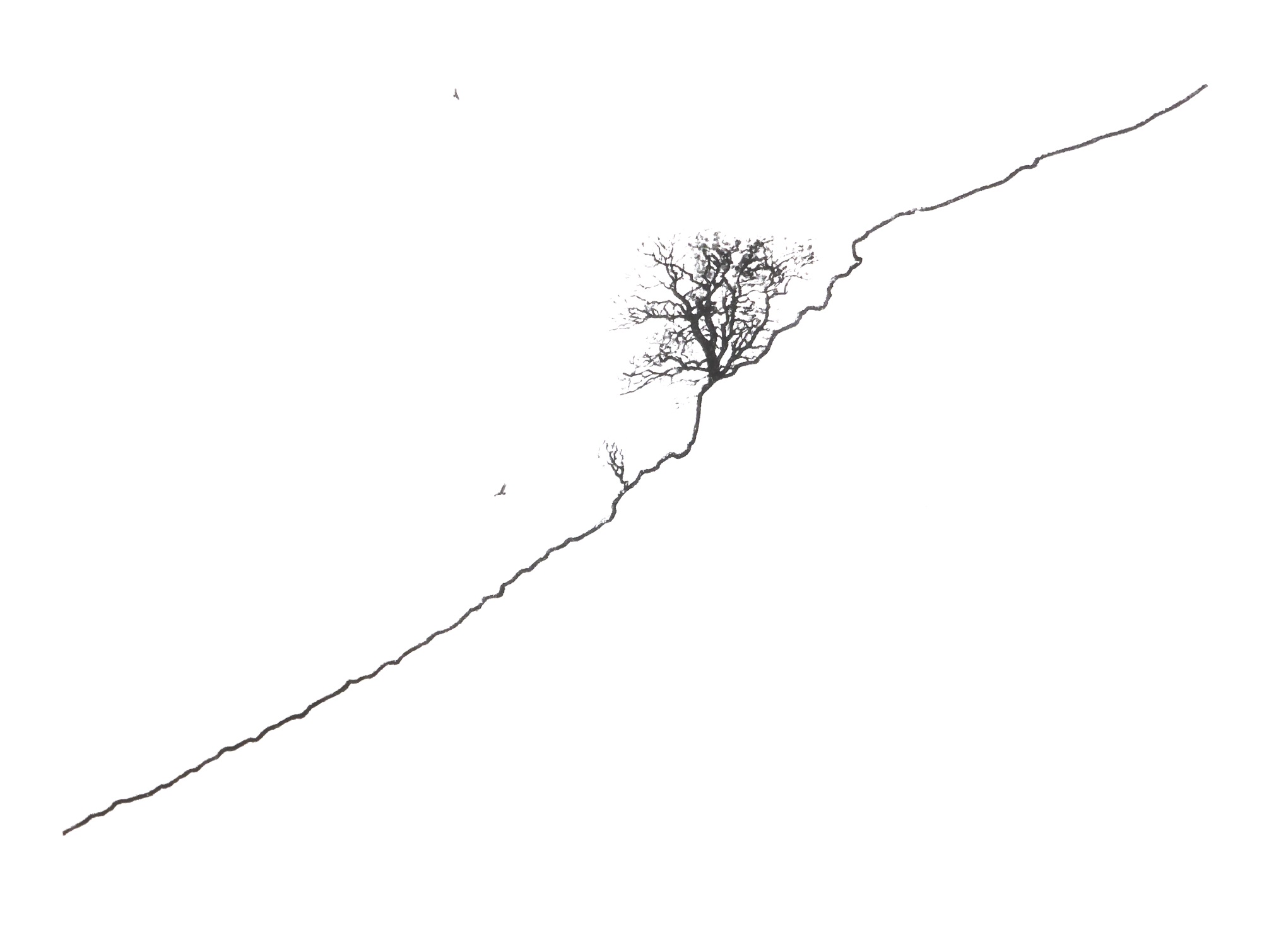 Outcrop (ii)