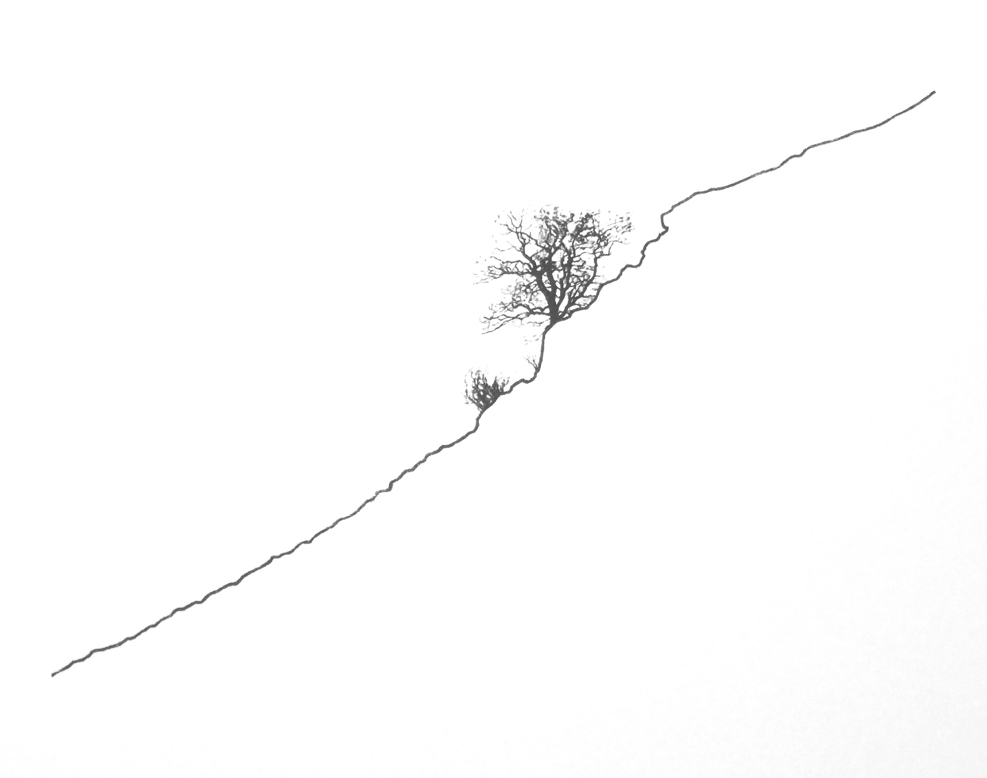 Outcrop