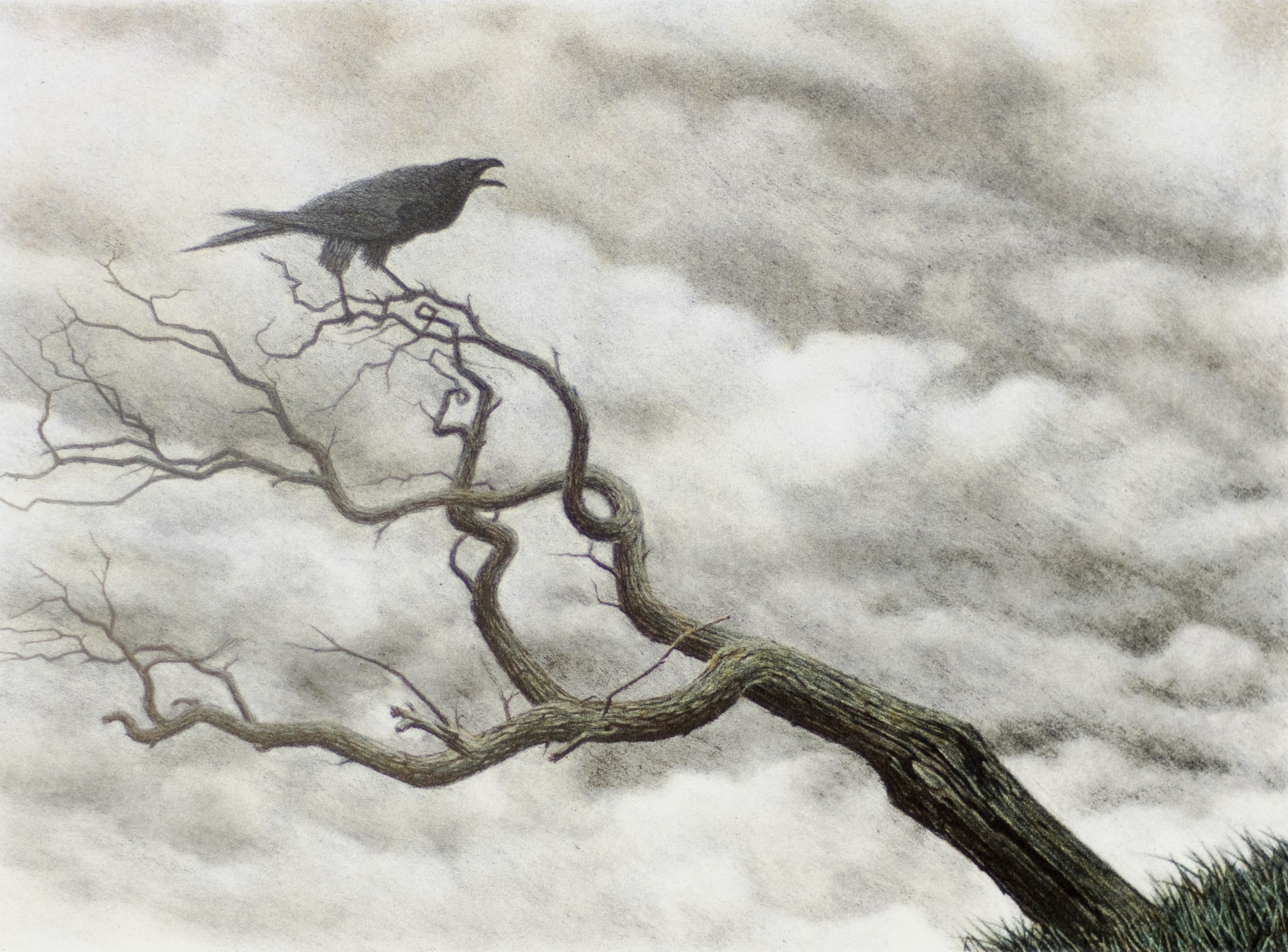Raven (state proof)