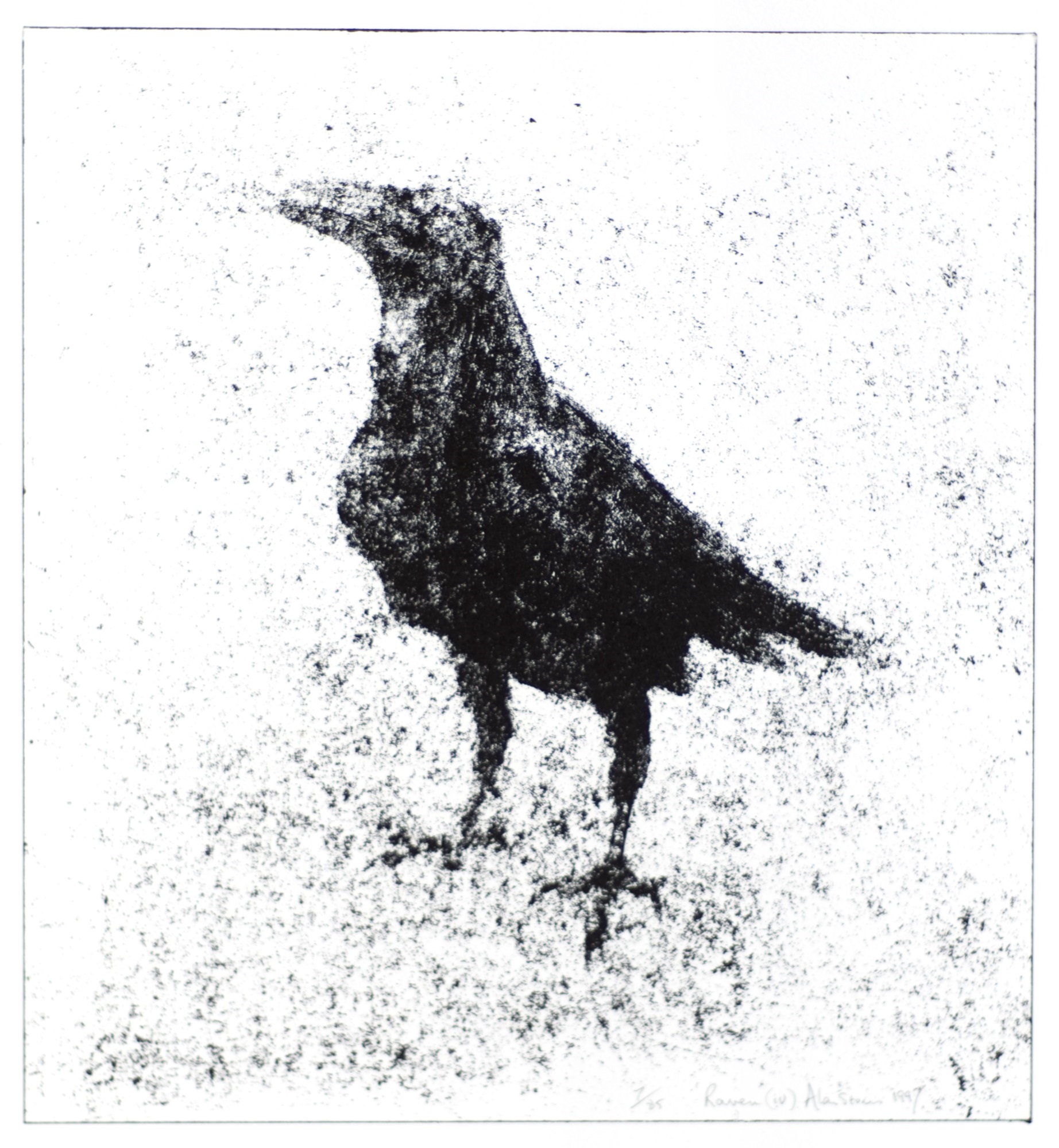Raven (iv)