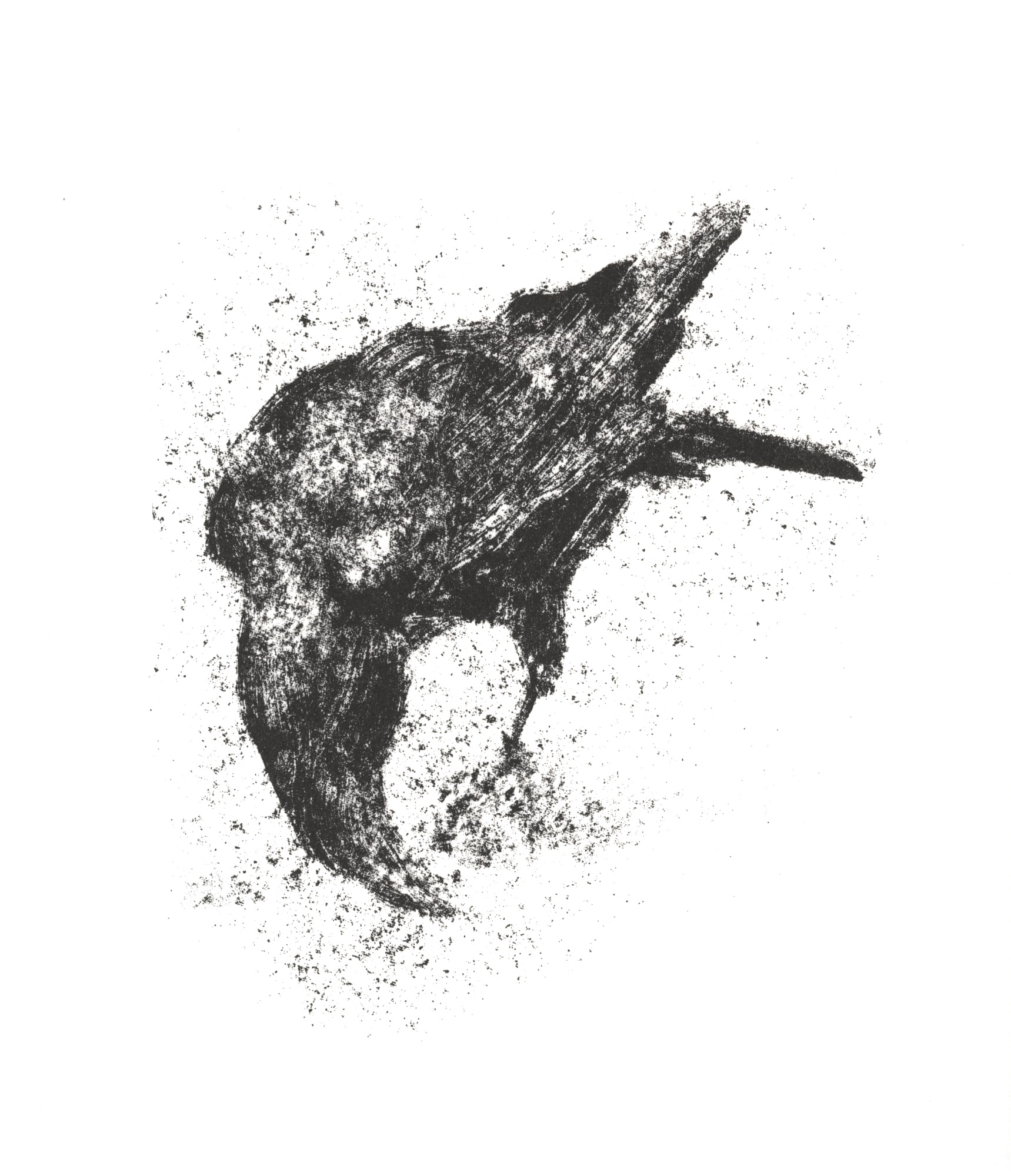 Raven (v)