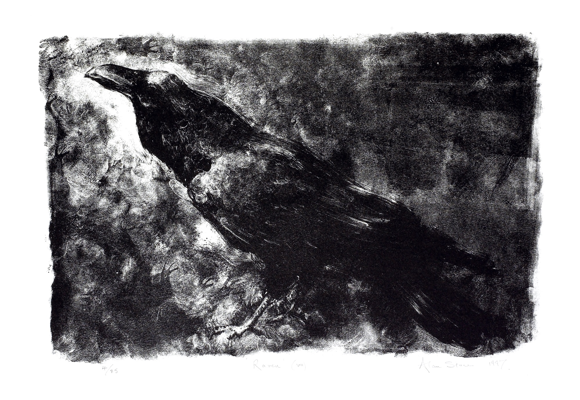 Raven (vii)