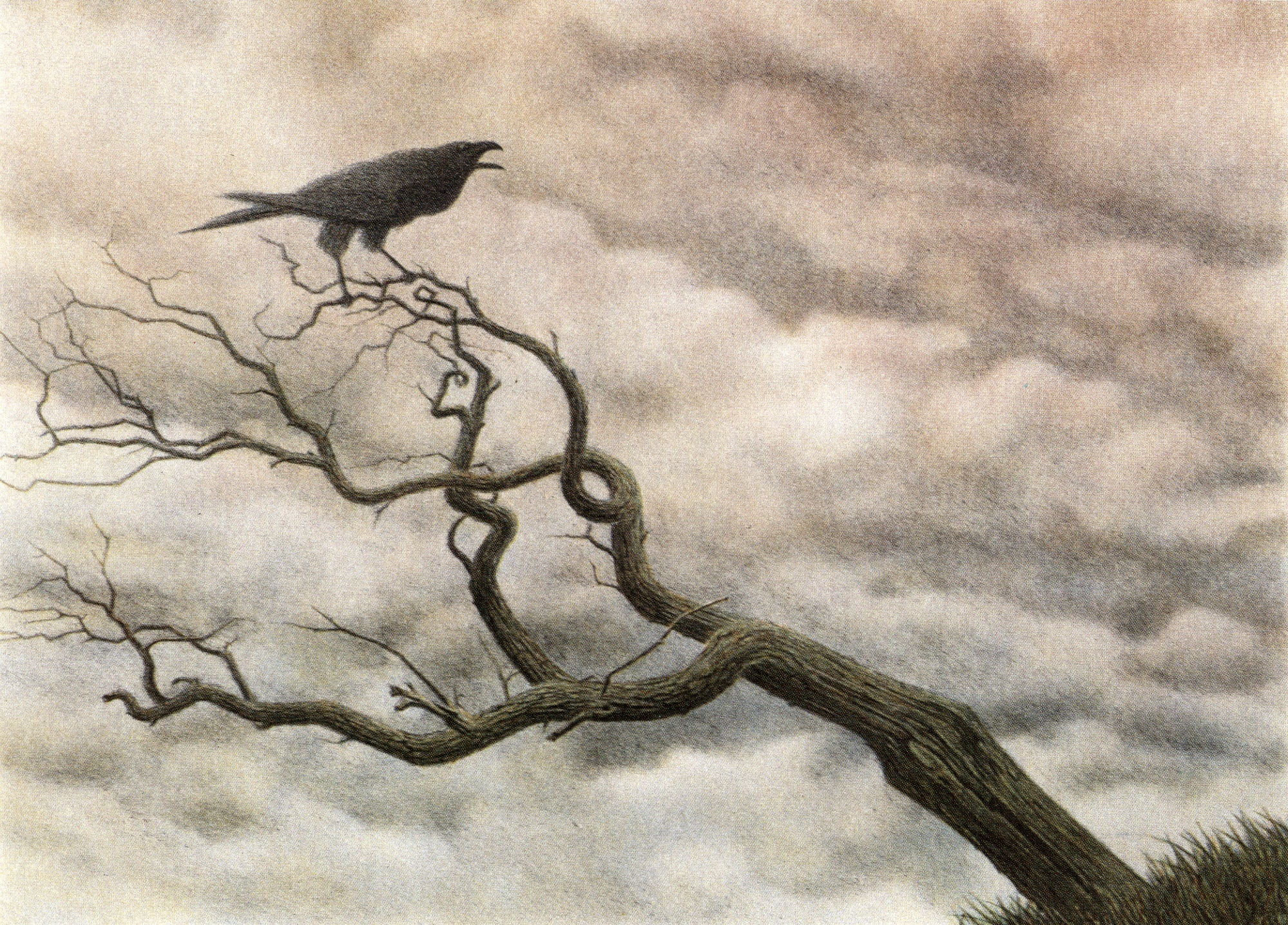 Raven