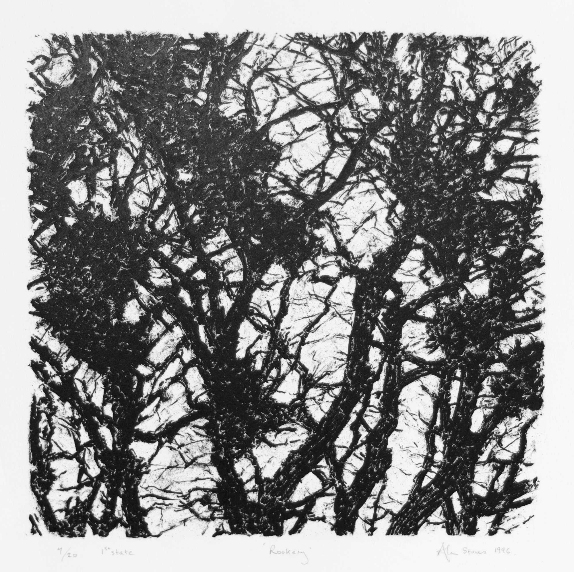 Rookery (1st state)