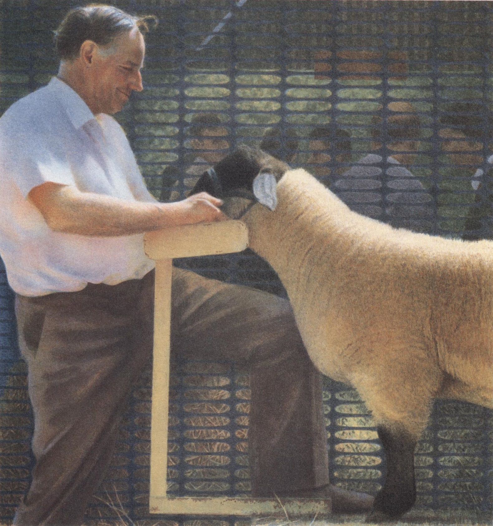 Royal Show