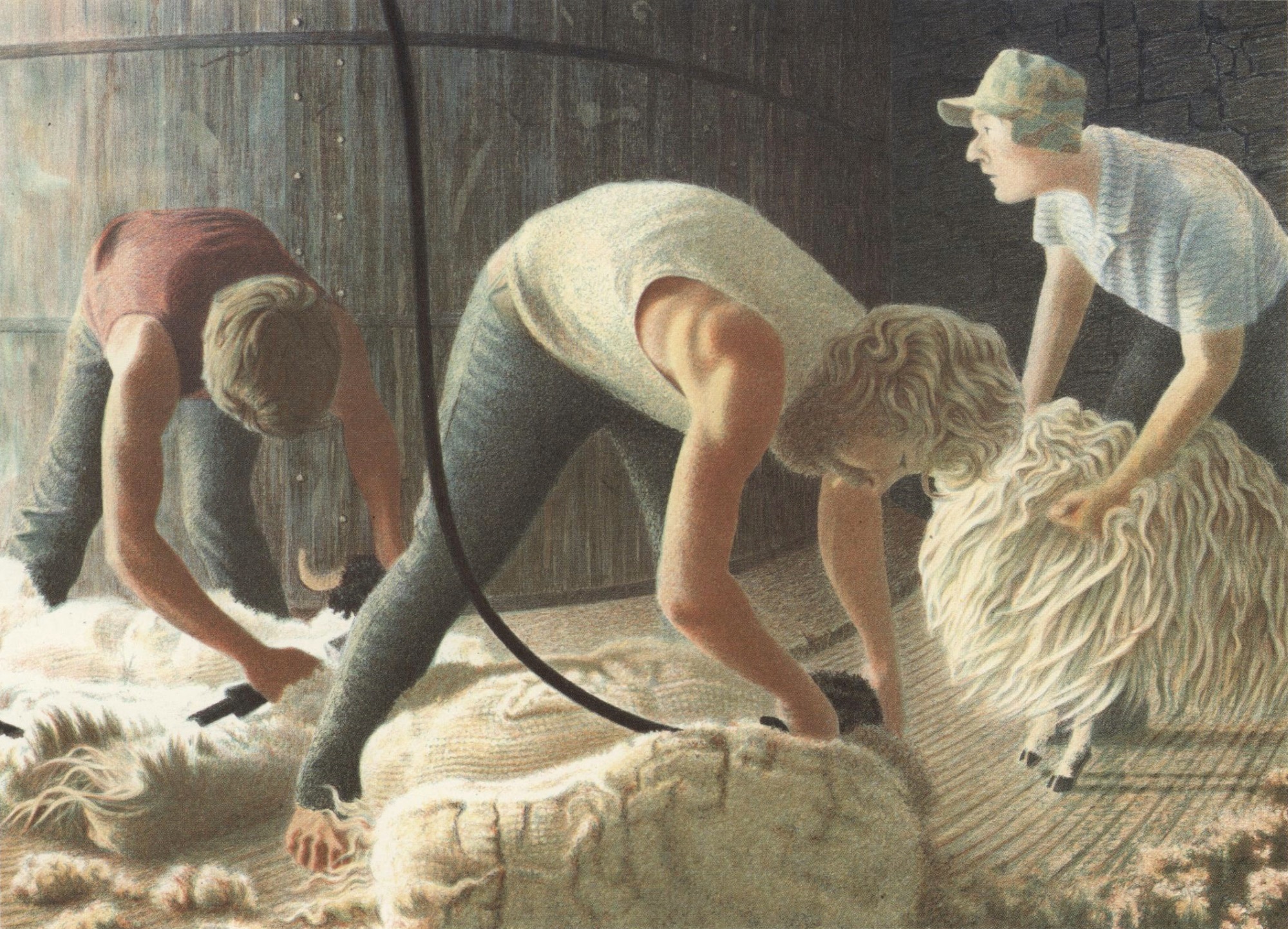 Shearers