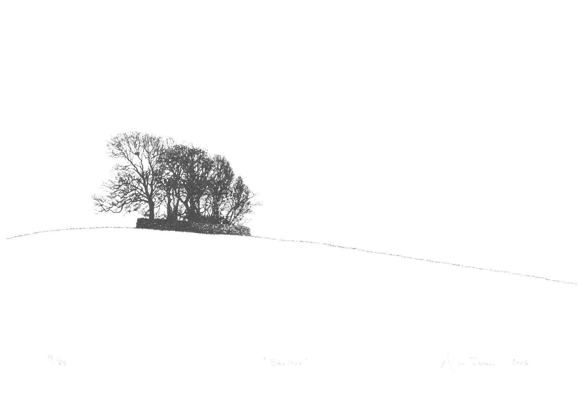 Shelter