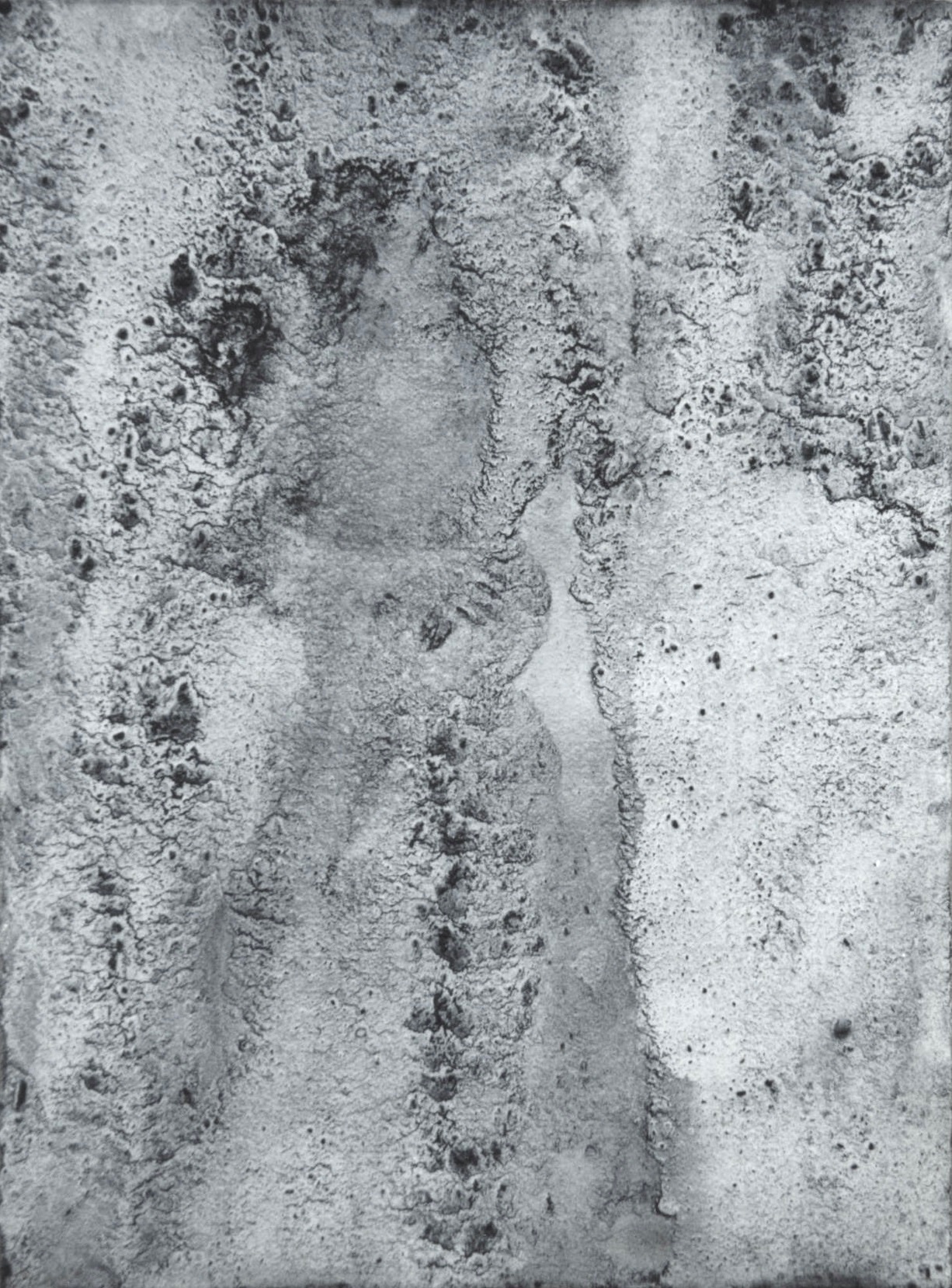 Shepherd Nov 2001
