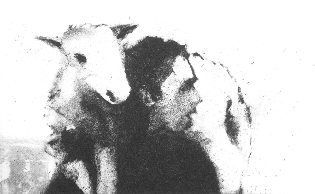 Shepherd
