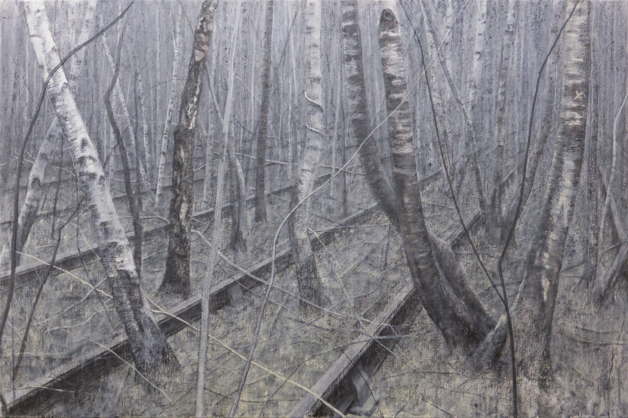 Siding study (iii)