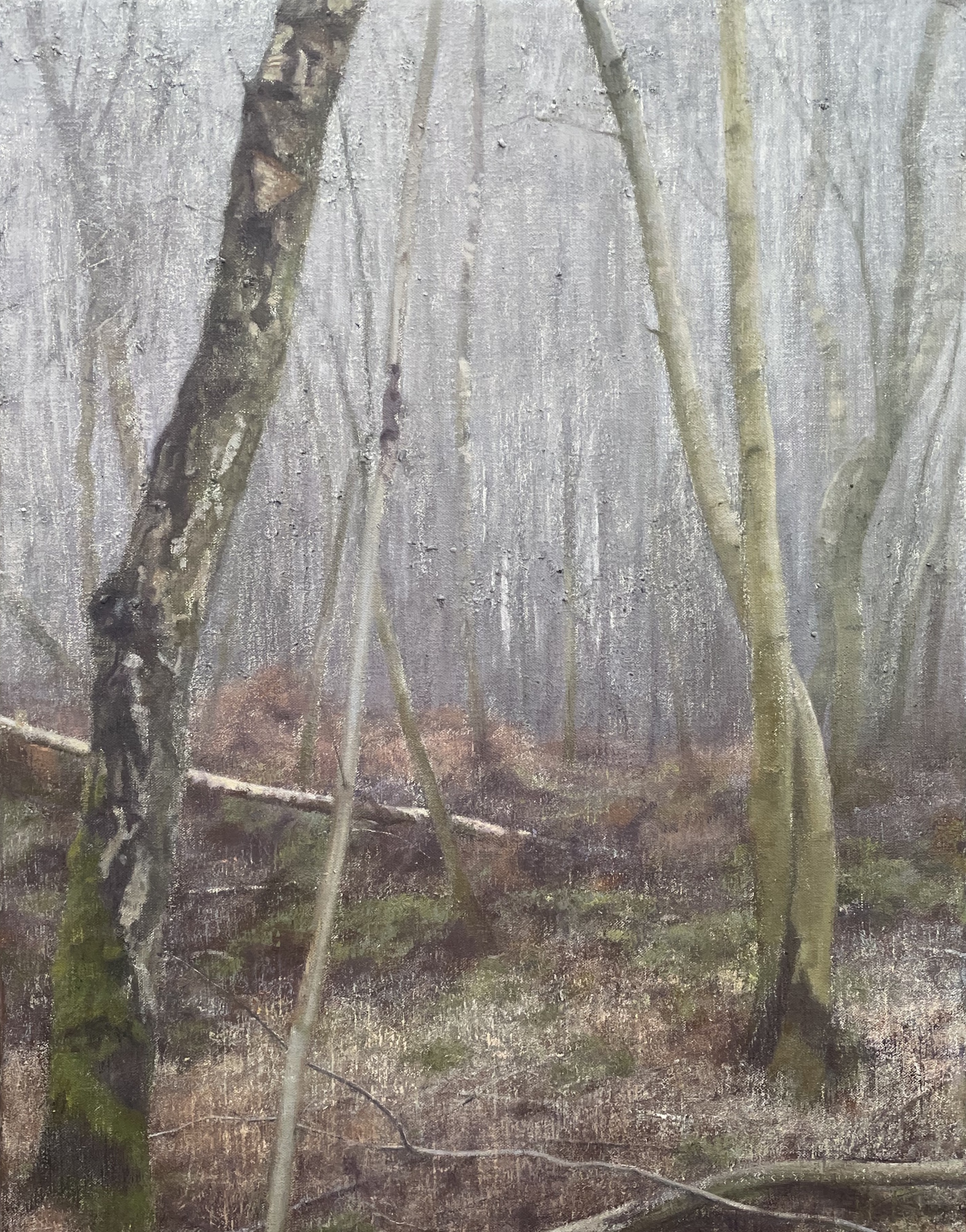 Silver Birch Wood (iii)