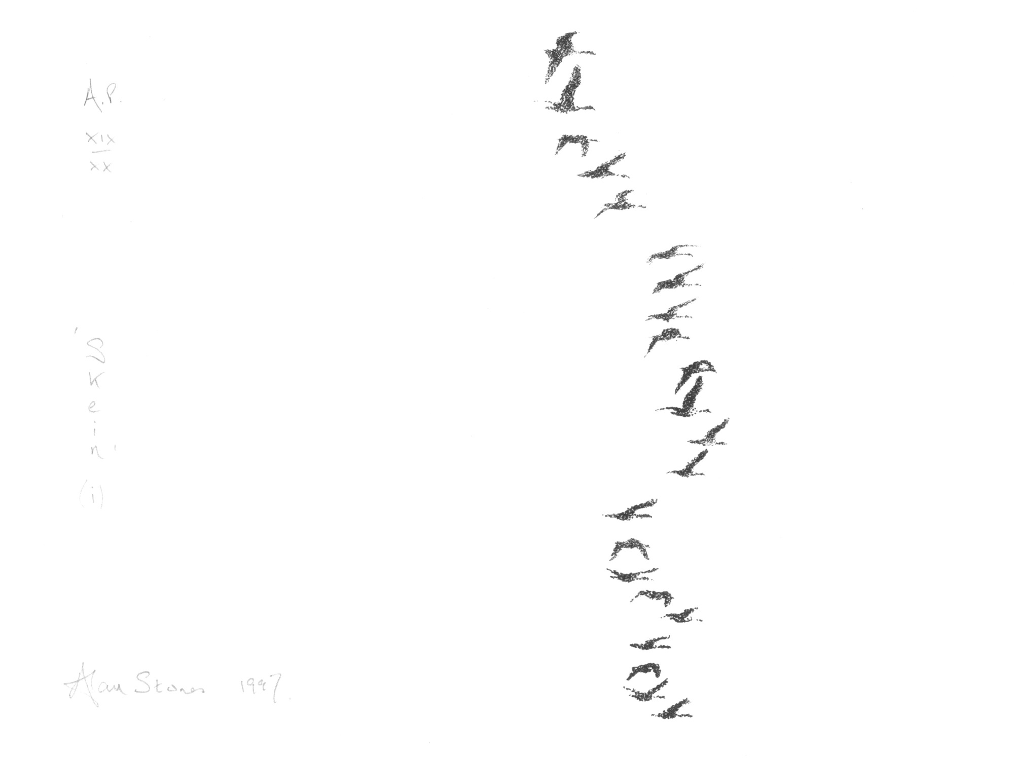 Skein (i)