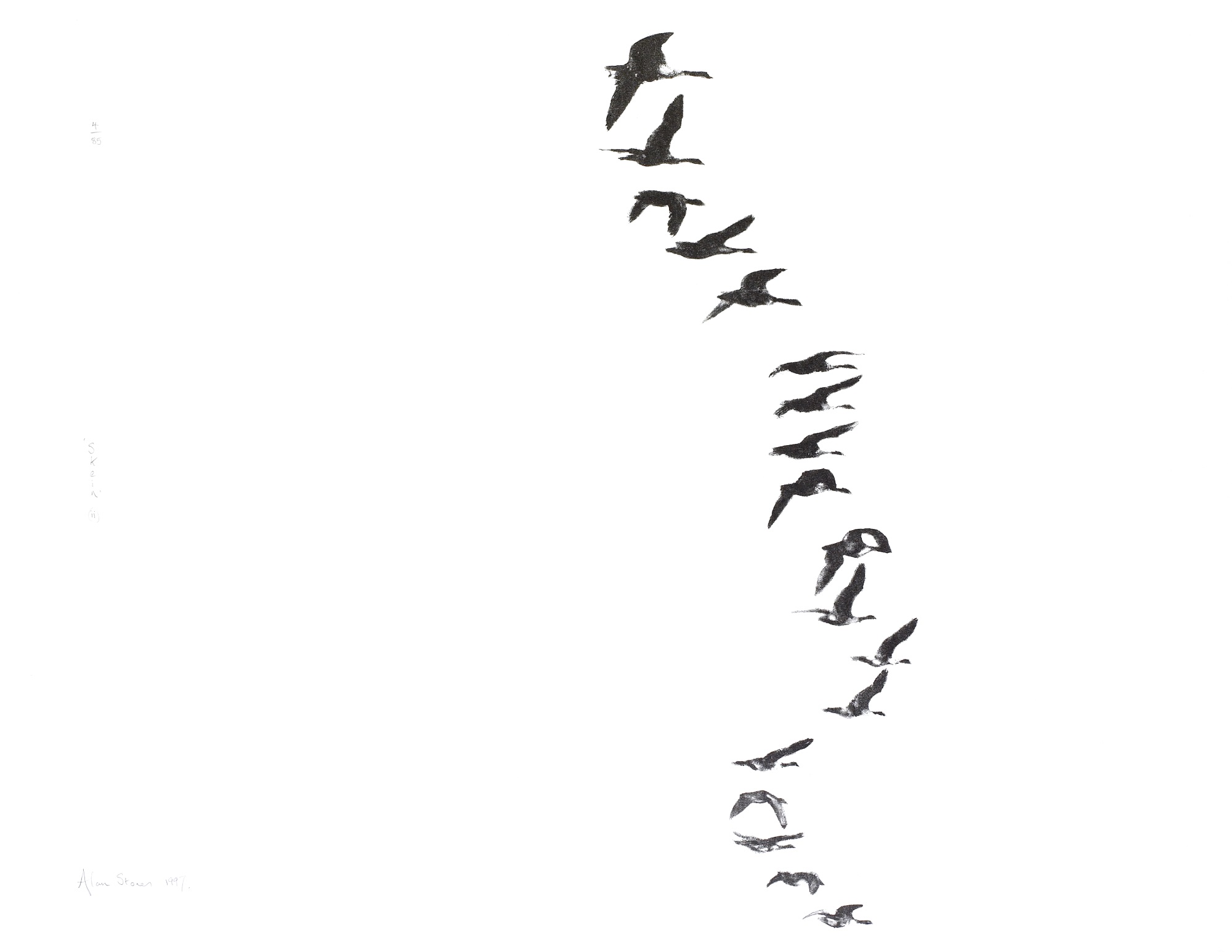 Skein (ii)