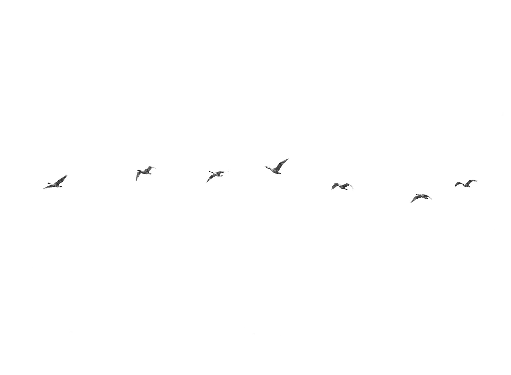 Skein (iii)