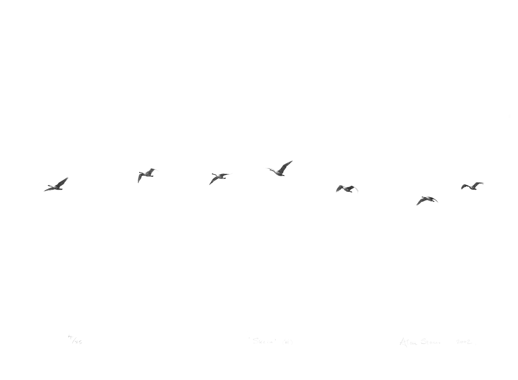 Skein (iii)