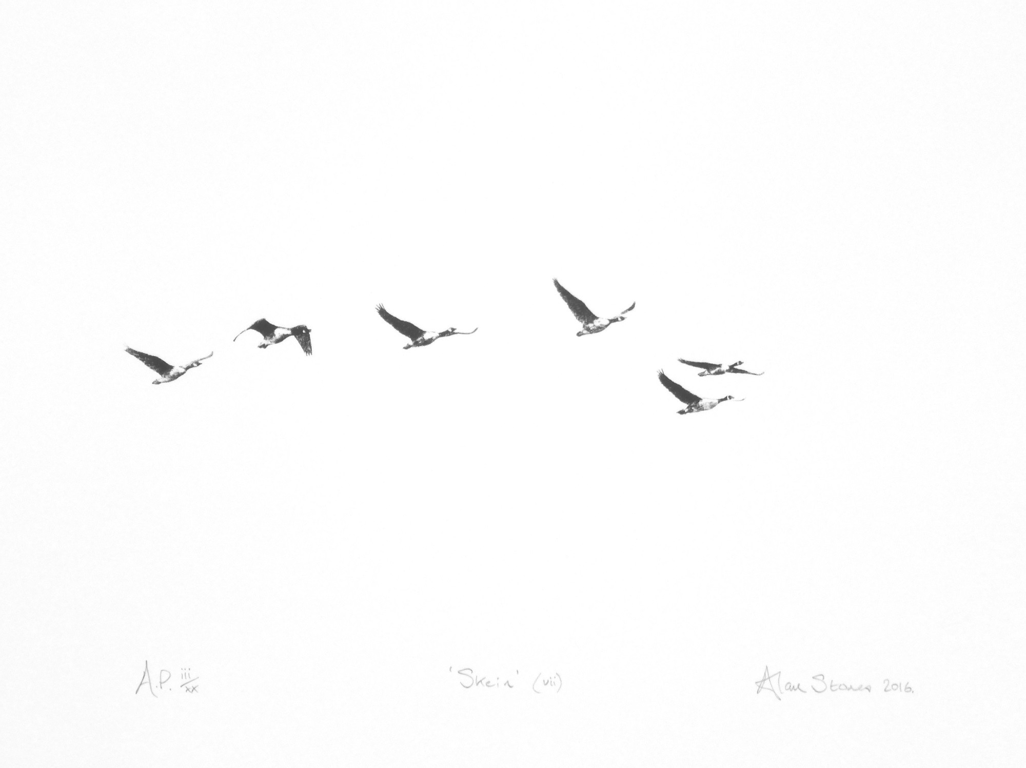 Skein (vii)