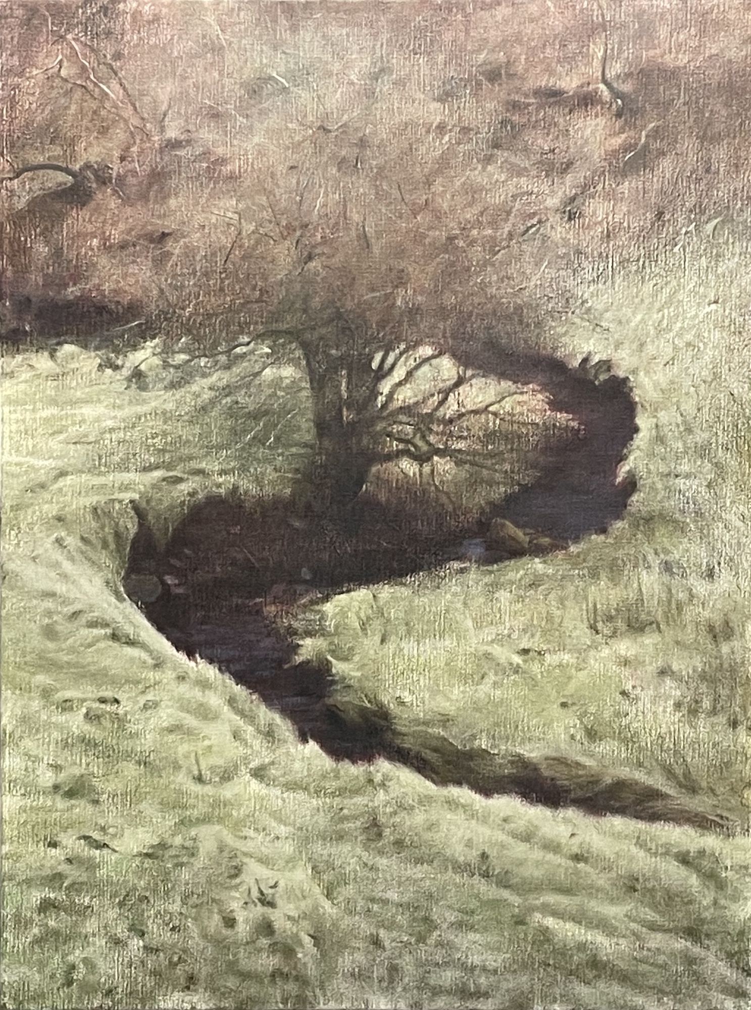 Skirwith Beck (ii)