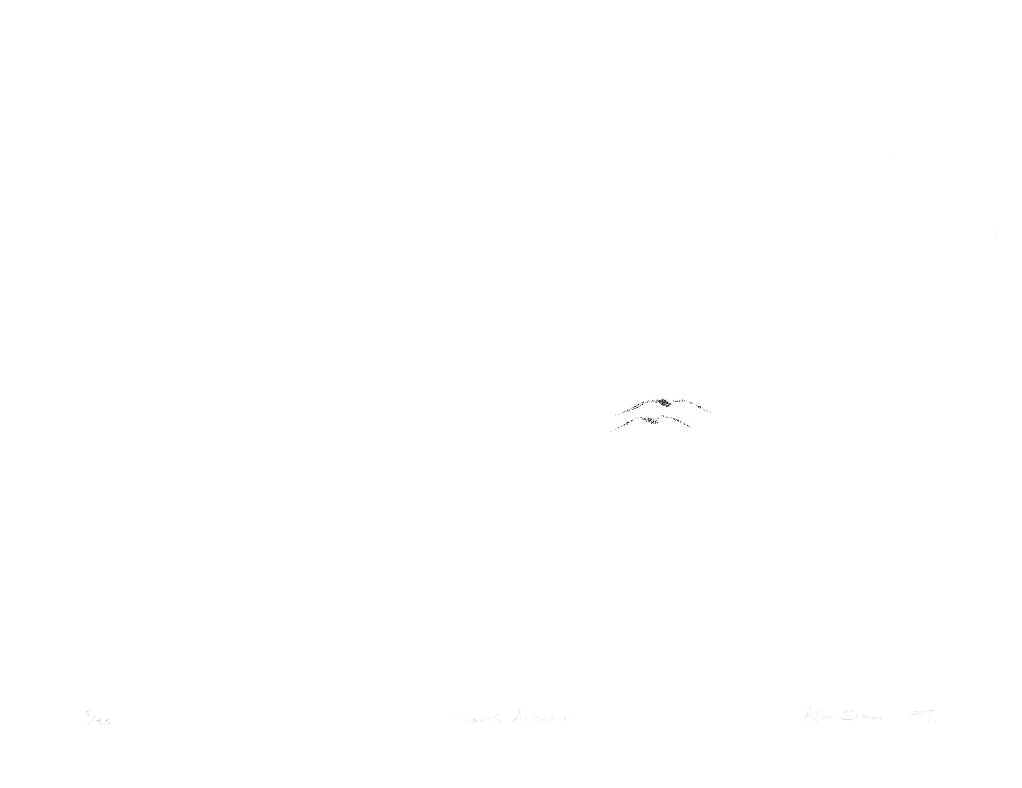 South Atlantic Albatross
