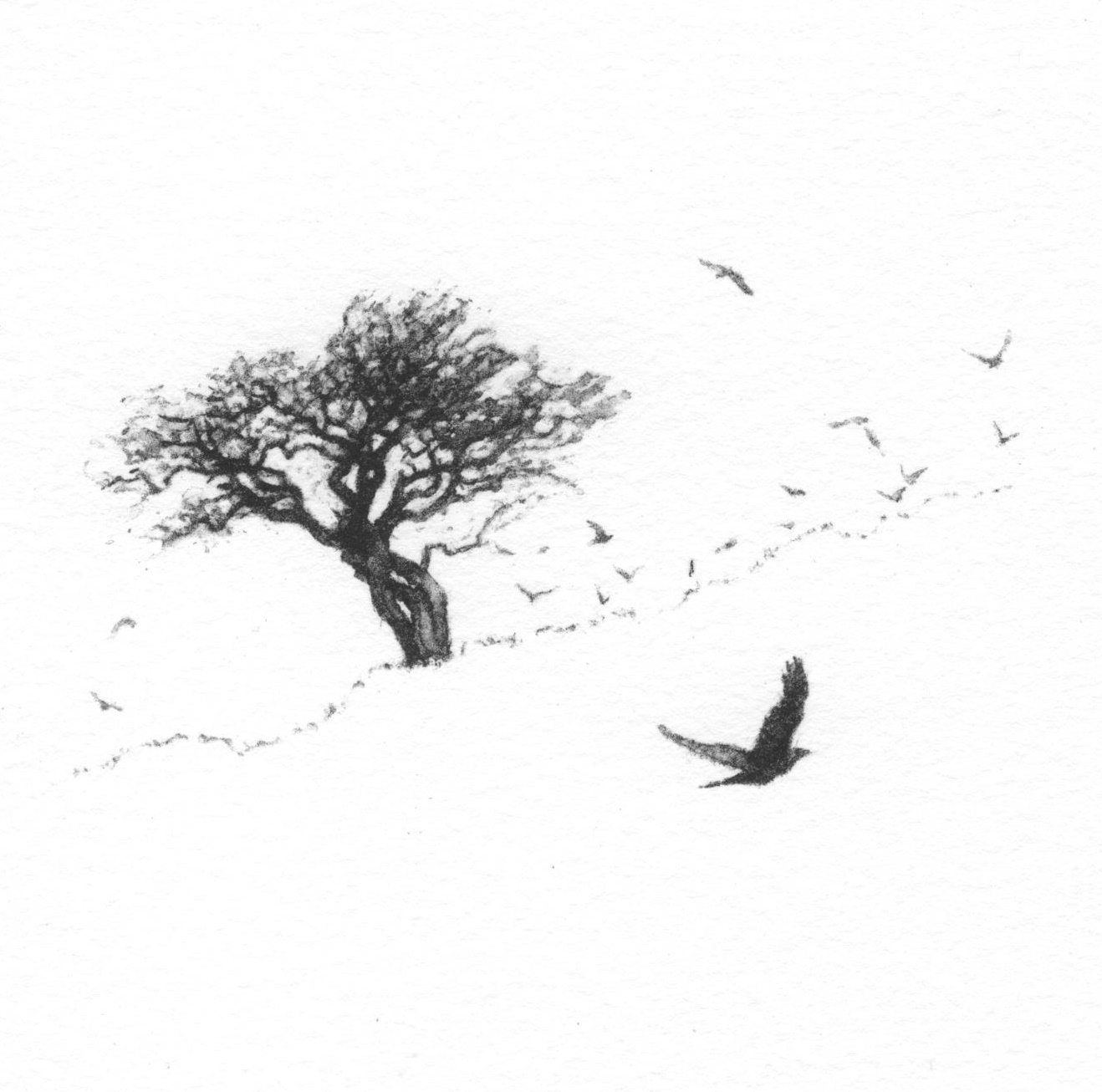 Take Flight