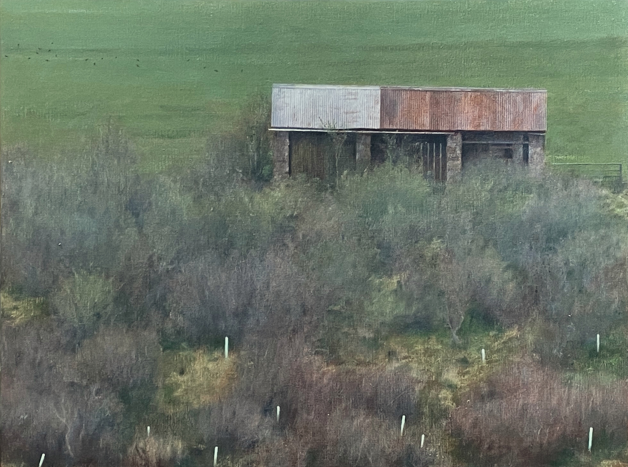 Shelter