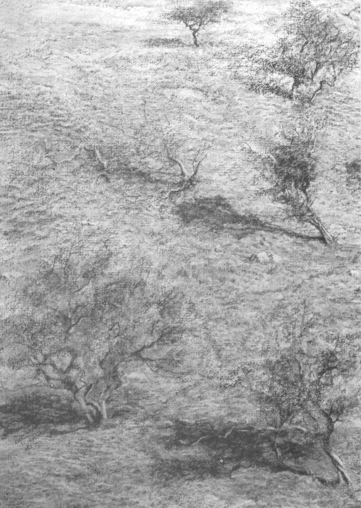 Thorn Trees