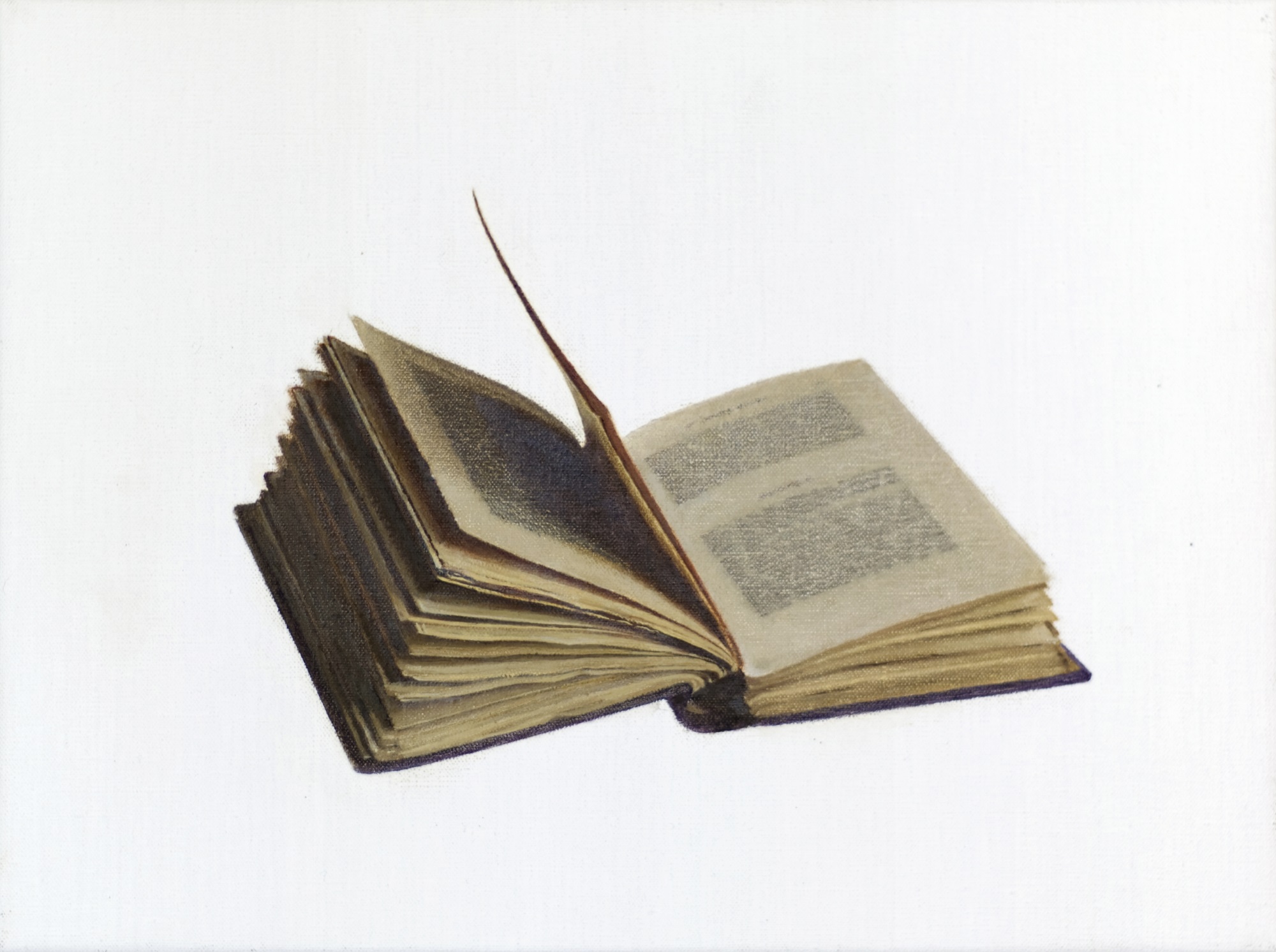 The Life and Opinions of Tristram Shandy, Gentleman