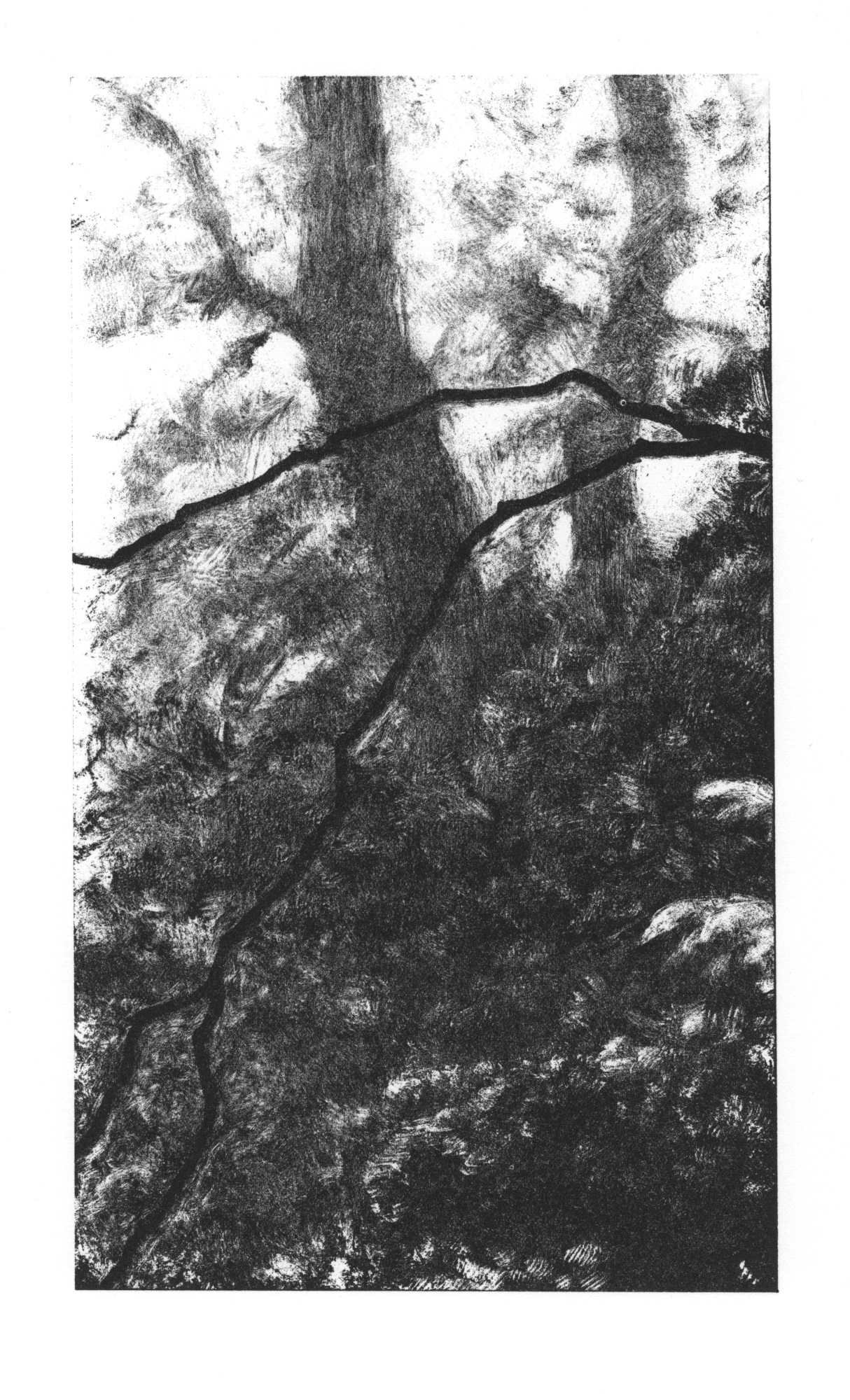 Wood (1st state)